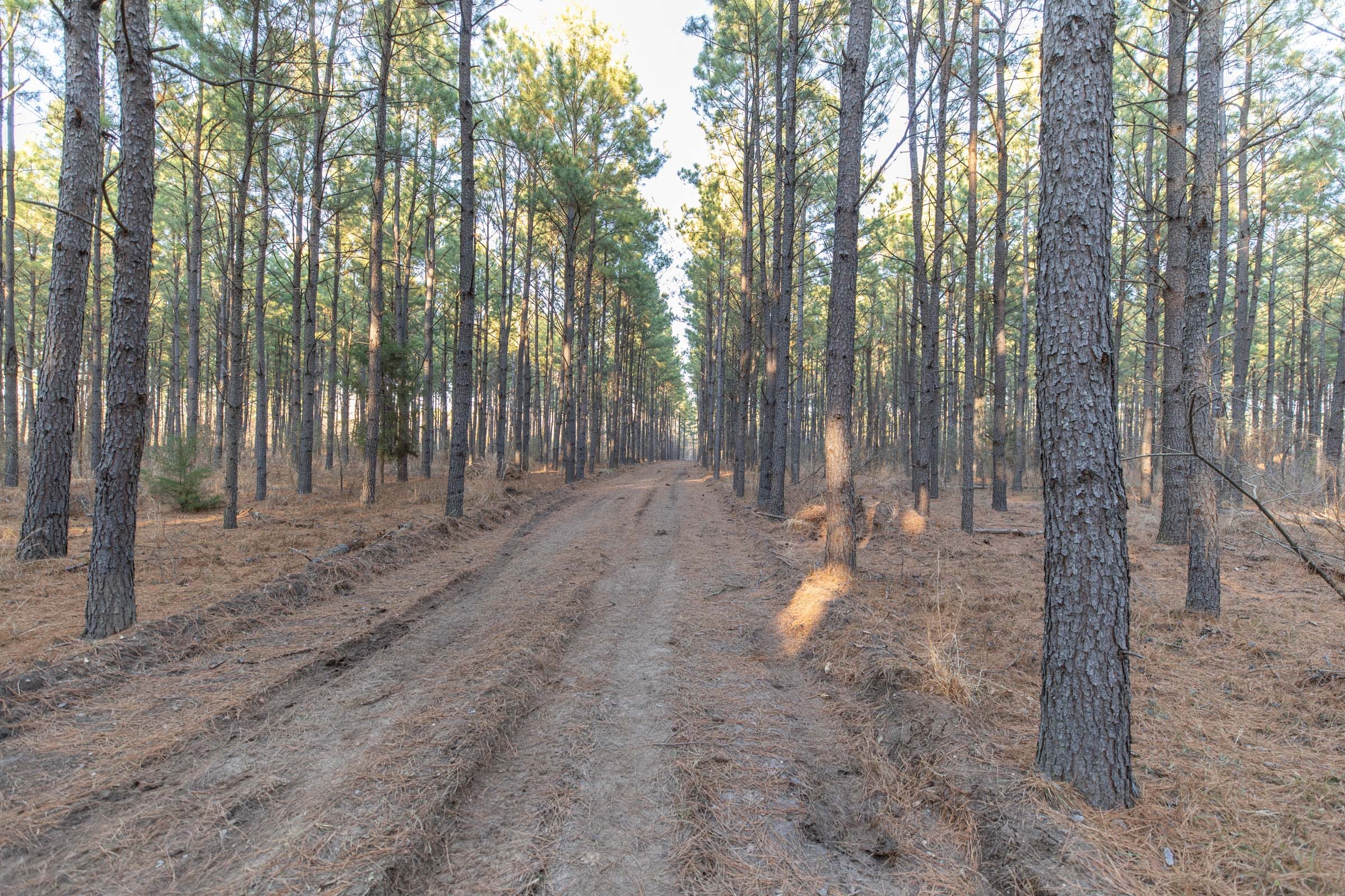 Wishing Star Ranch Tract 57 photo 5