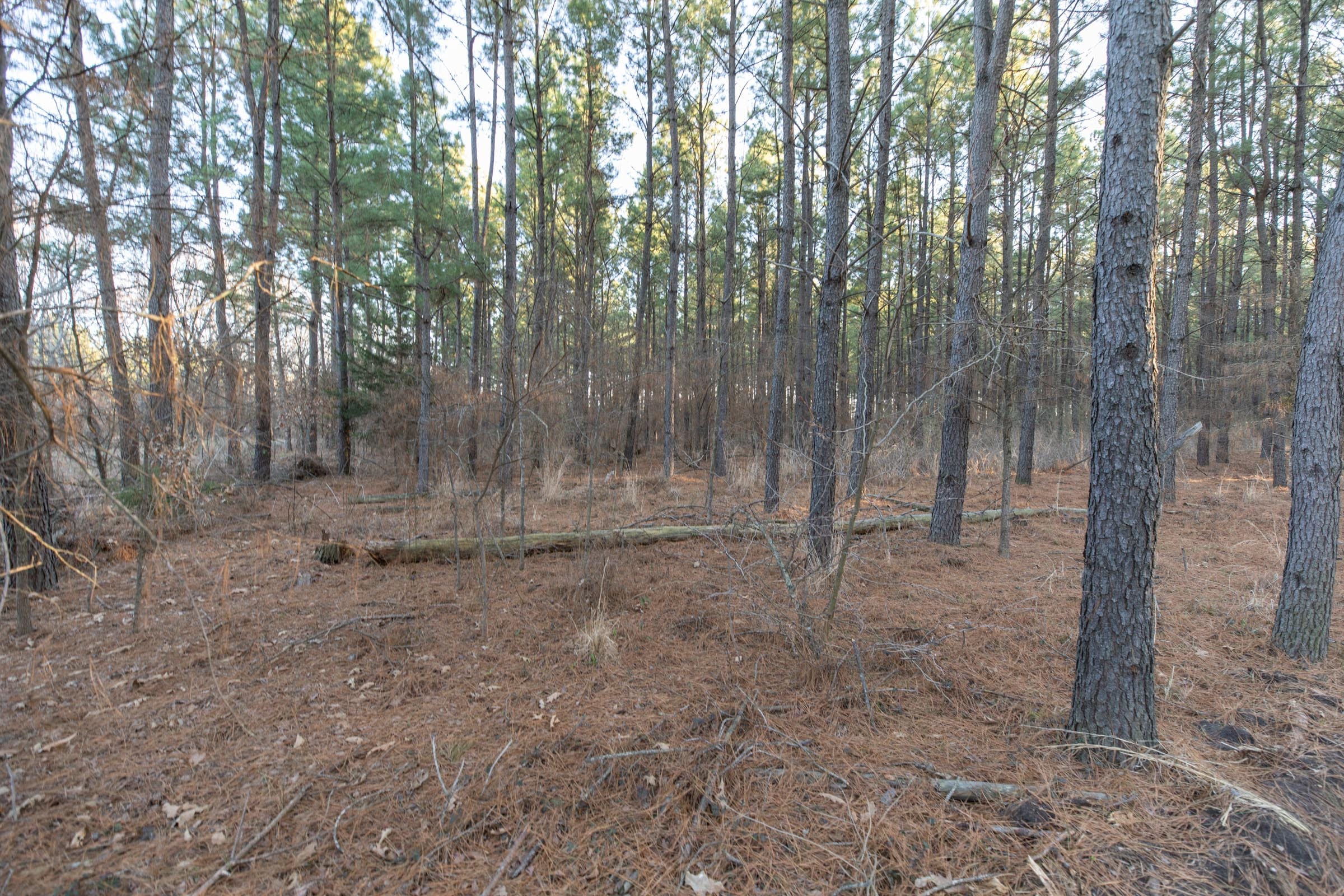 Wishing Star Ranch Tract 57 photo 8