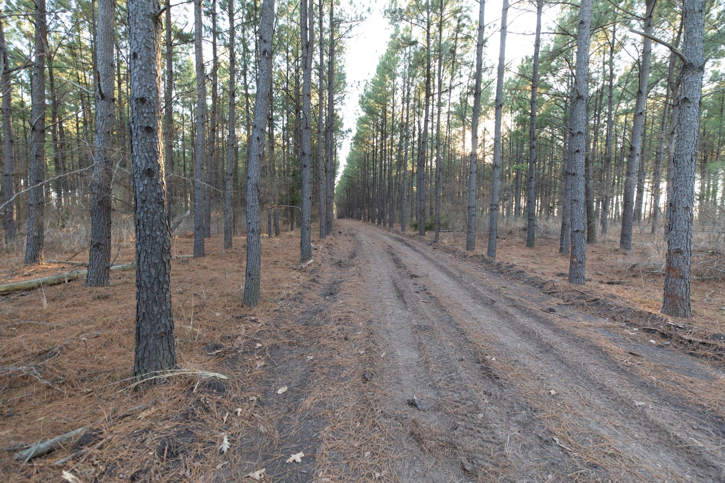 Wishing Star Ranch Tract 57 photo 9