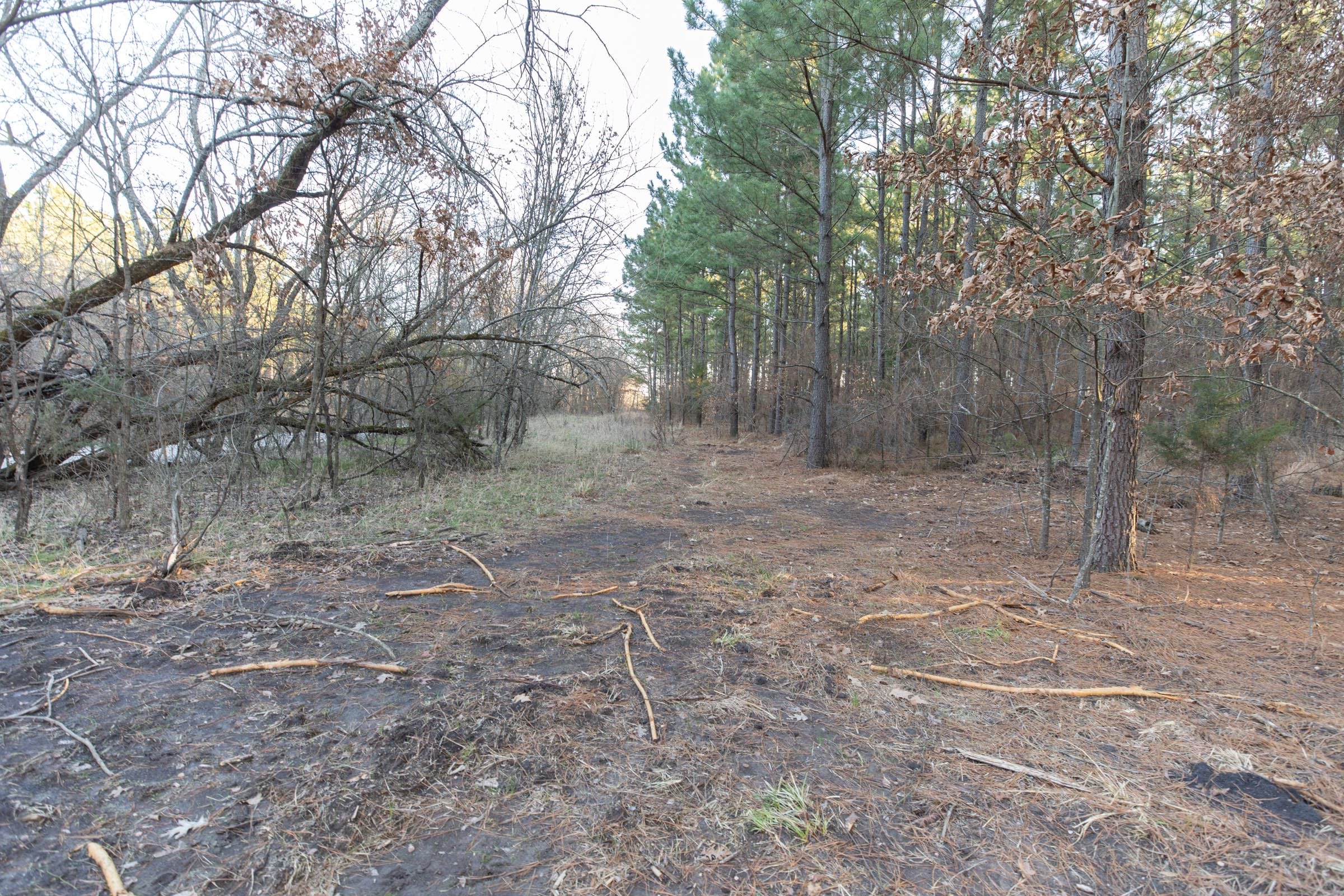 Wishing Star Ranch Tract 57 photo 10