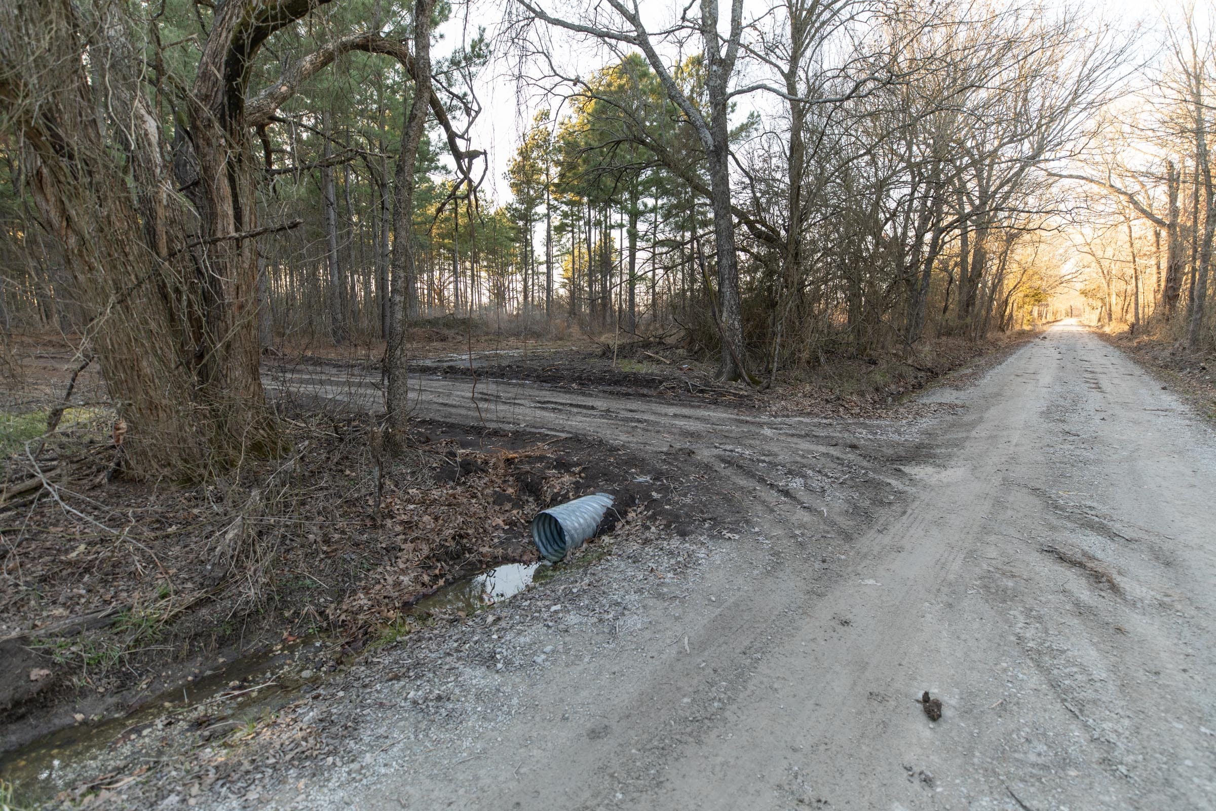 Wishing Star Ranch Tract 57 photo 12