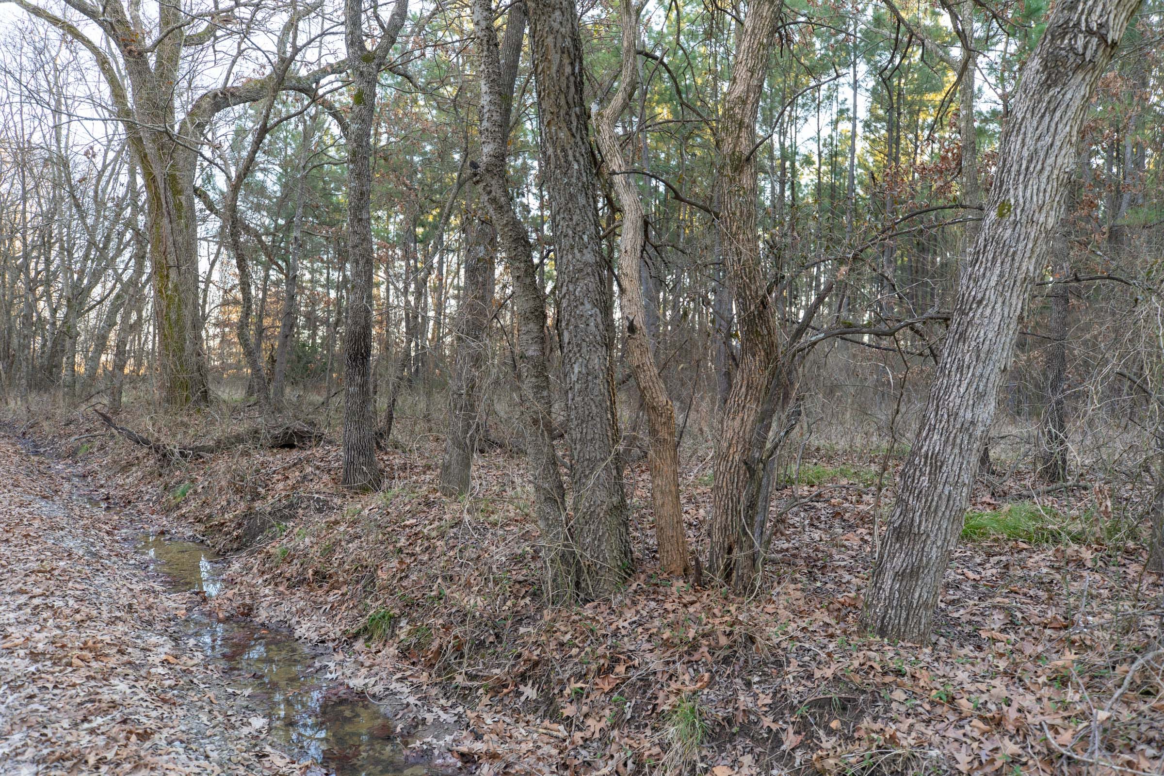 Wishing Star Ranch Tract 57 photo 13