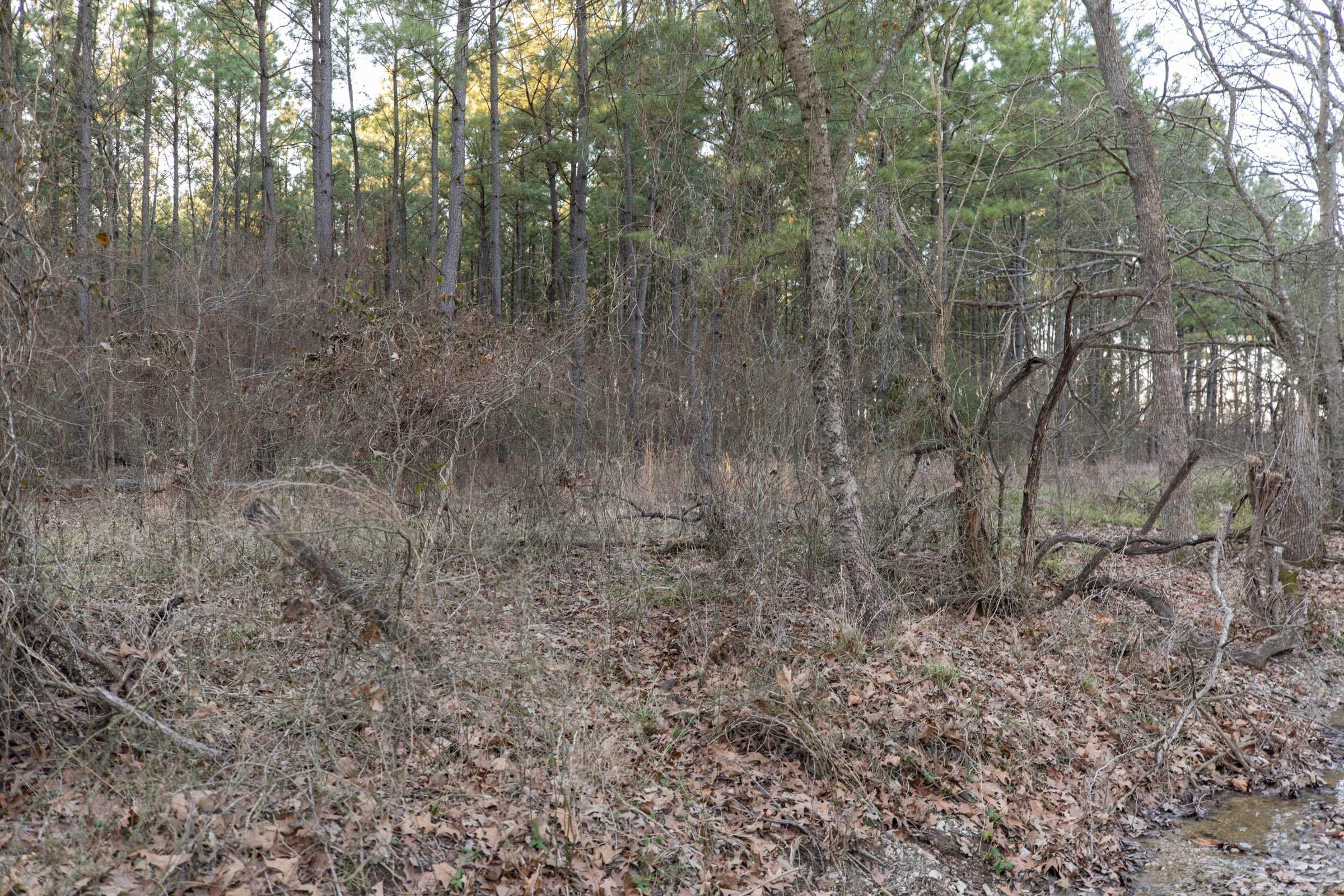 Wishing Star Ranch Tract 57 photo 14