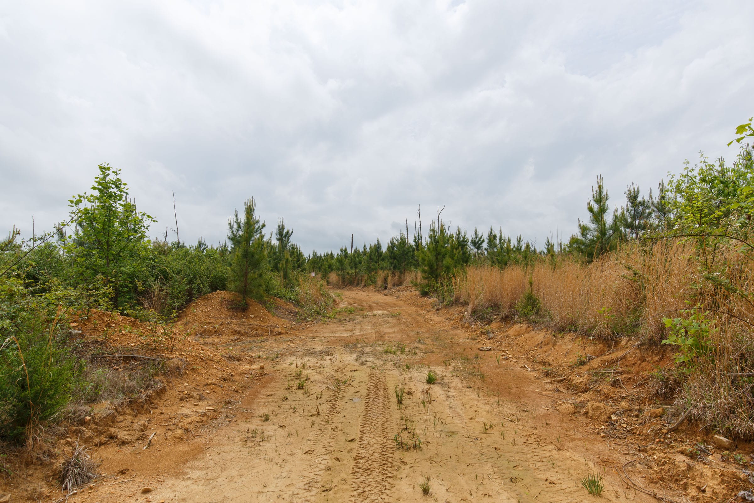 Red Barn Ranch Tract 50 photo 1