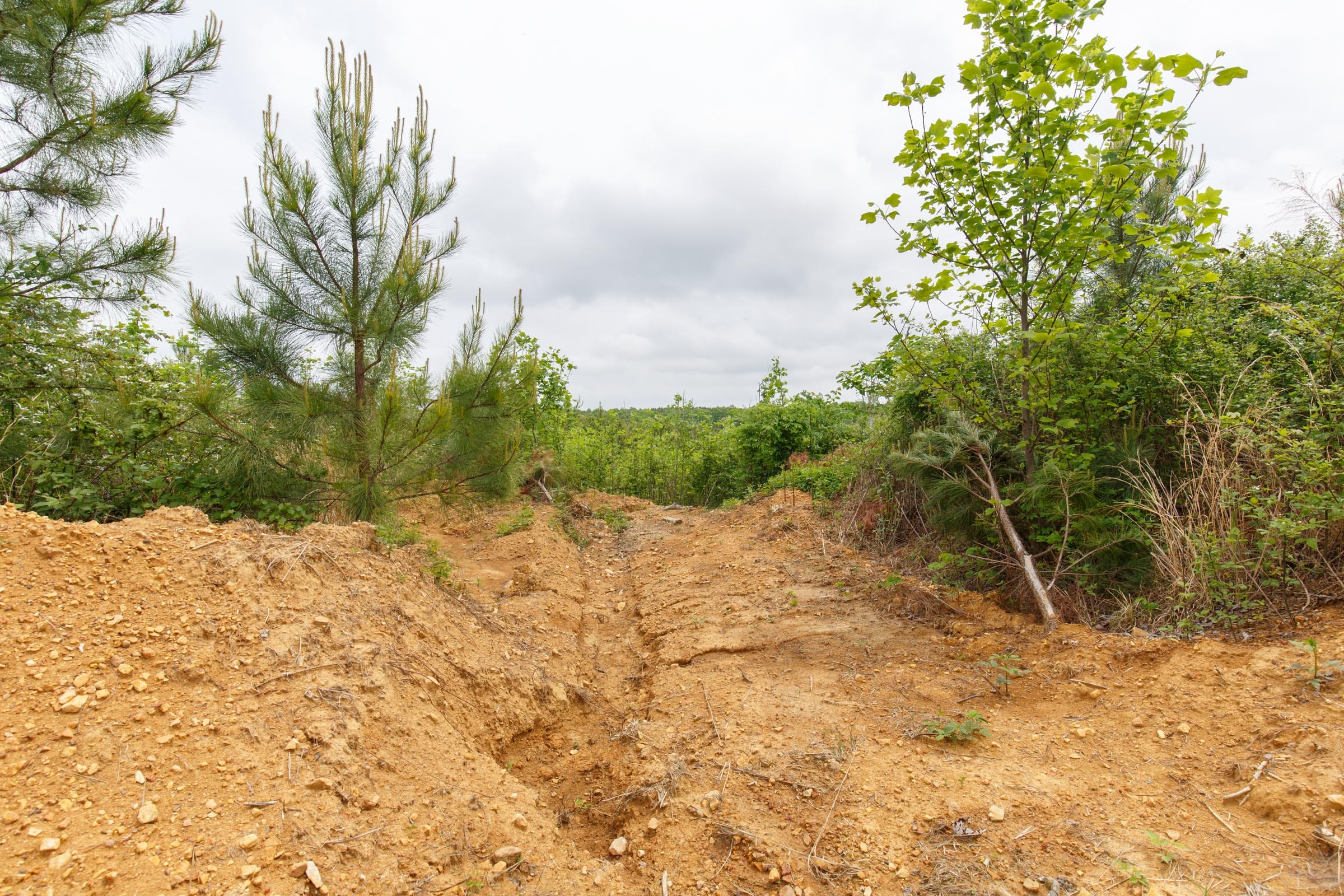 Red Barn Ranch Tract 50 photo 4
