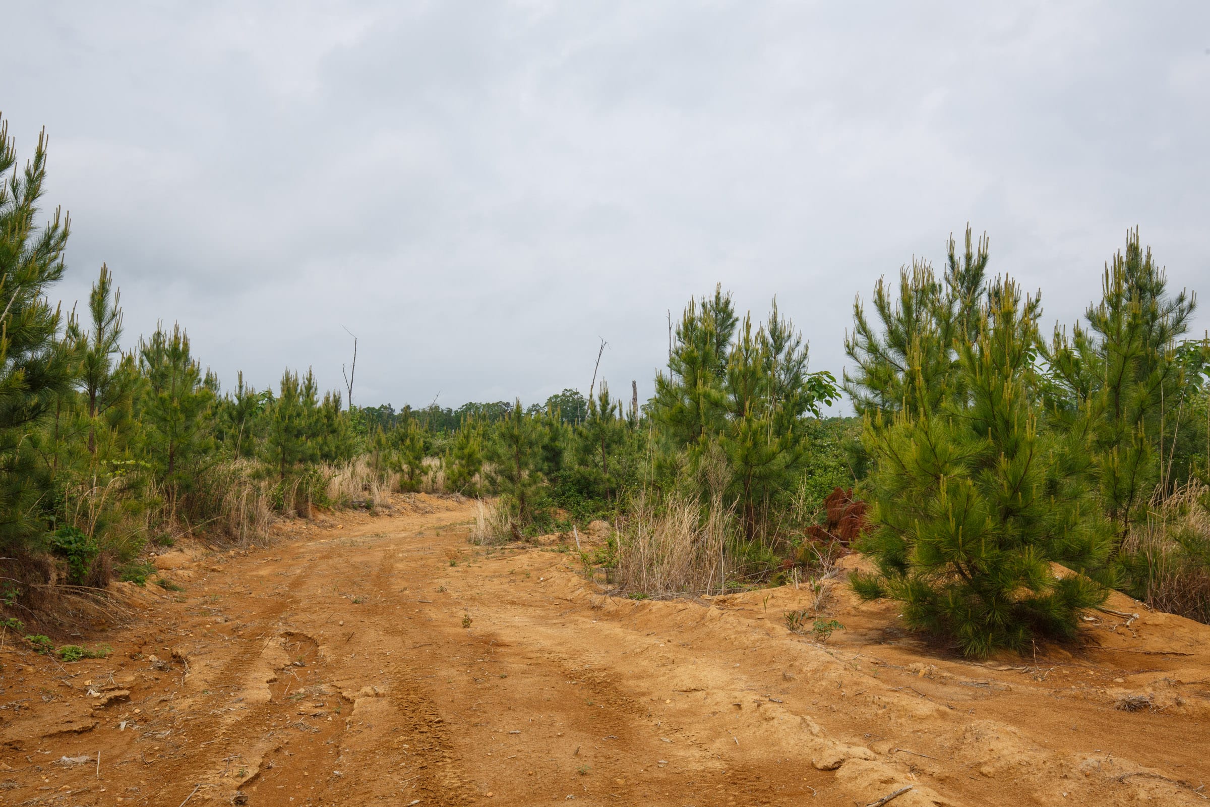 Red Barn Ranch Tract 50 photo 9