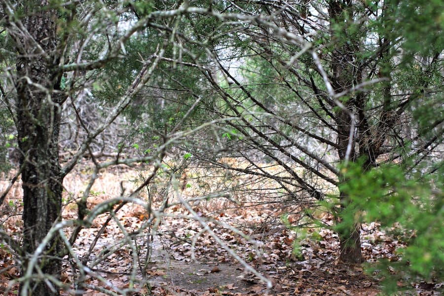 Montgomery Ranch Tract 20 photo 5