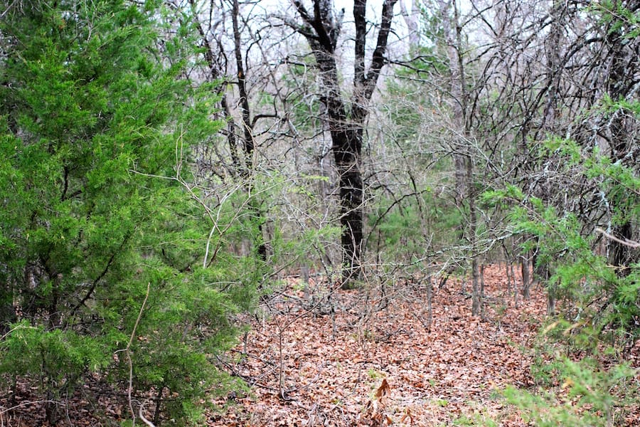Montgomery Ranch Tract 20 photo 8