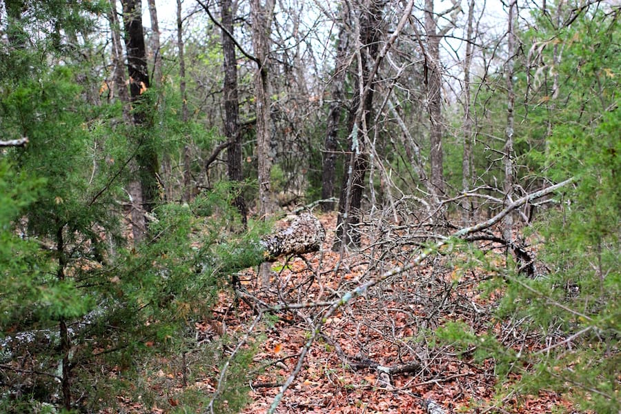 Montgomery Ranch Tract 20 photo 9