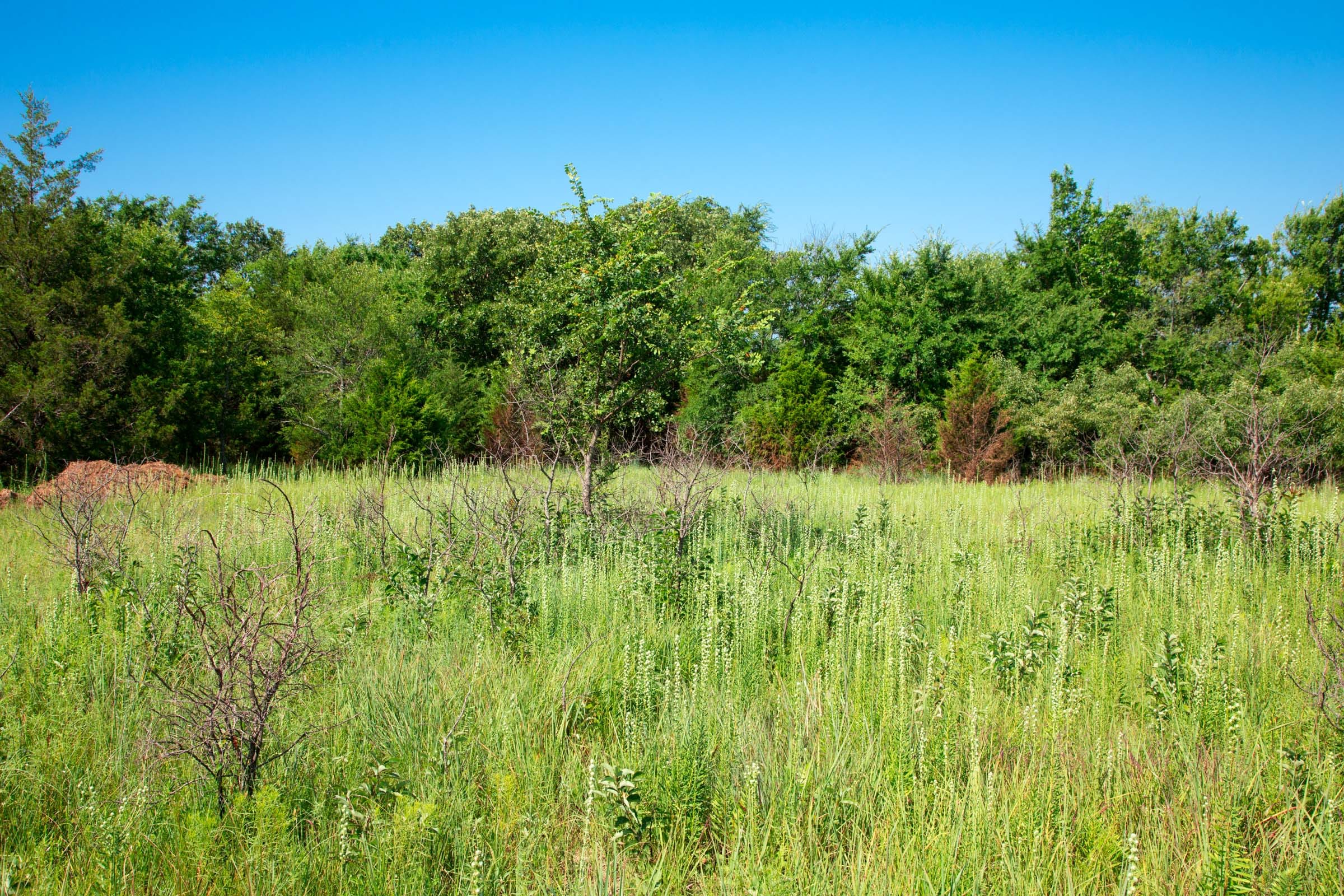 Deep Fork Ranch Tract 16 photo 2