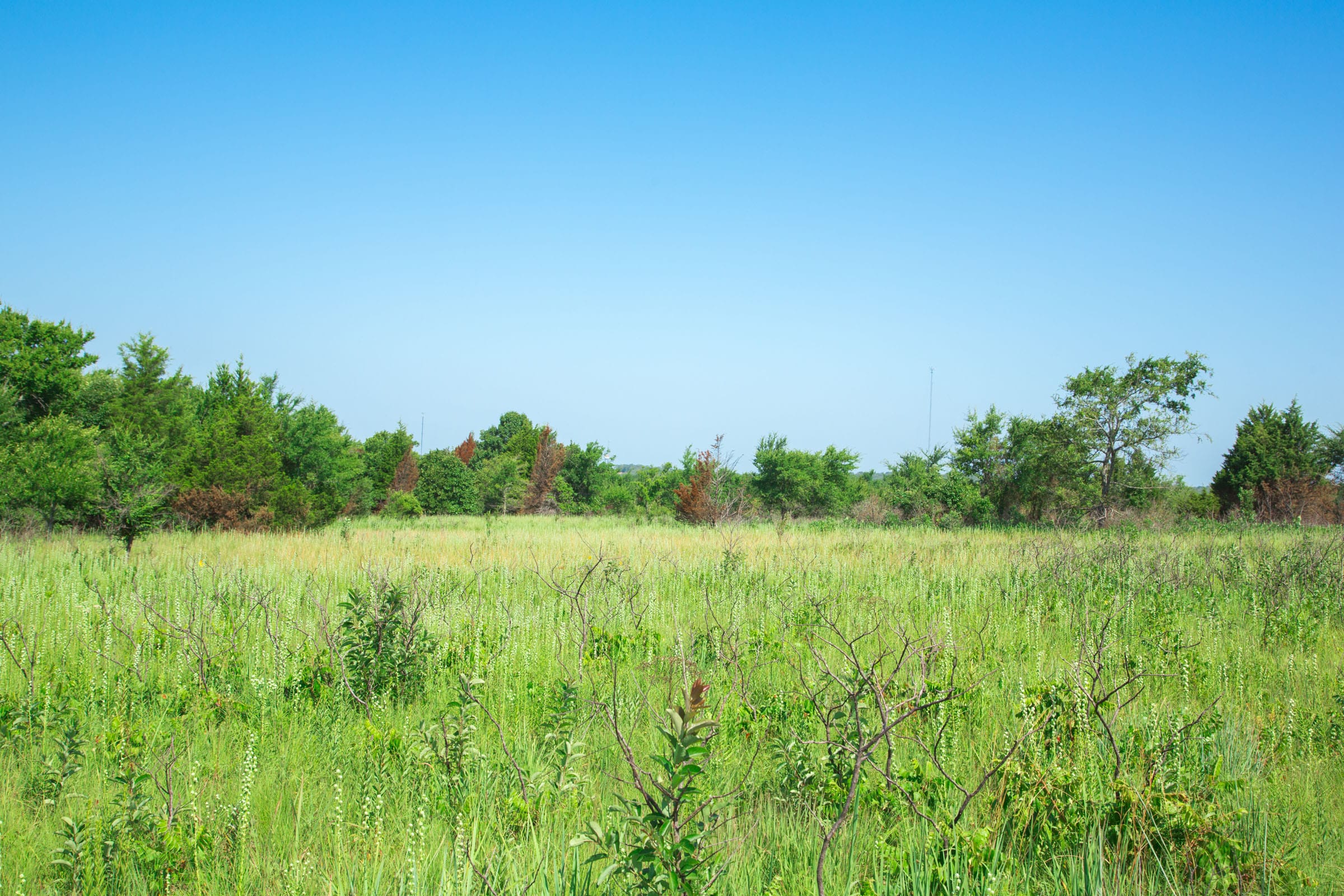 Deep Fork Ranch Tract 16 photo 4