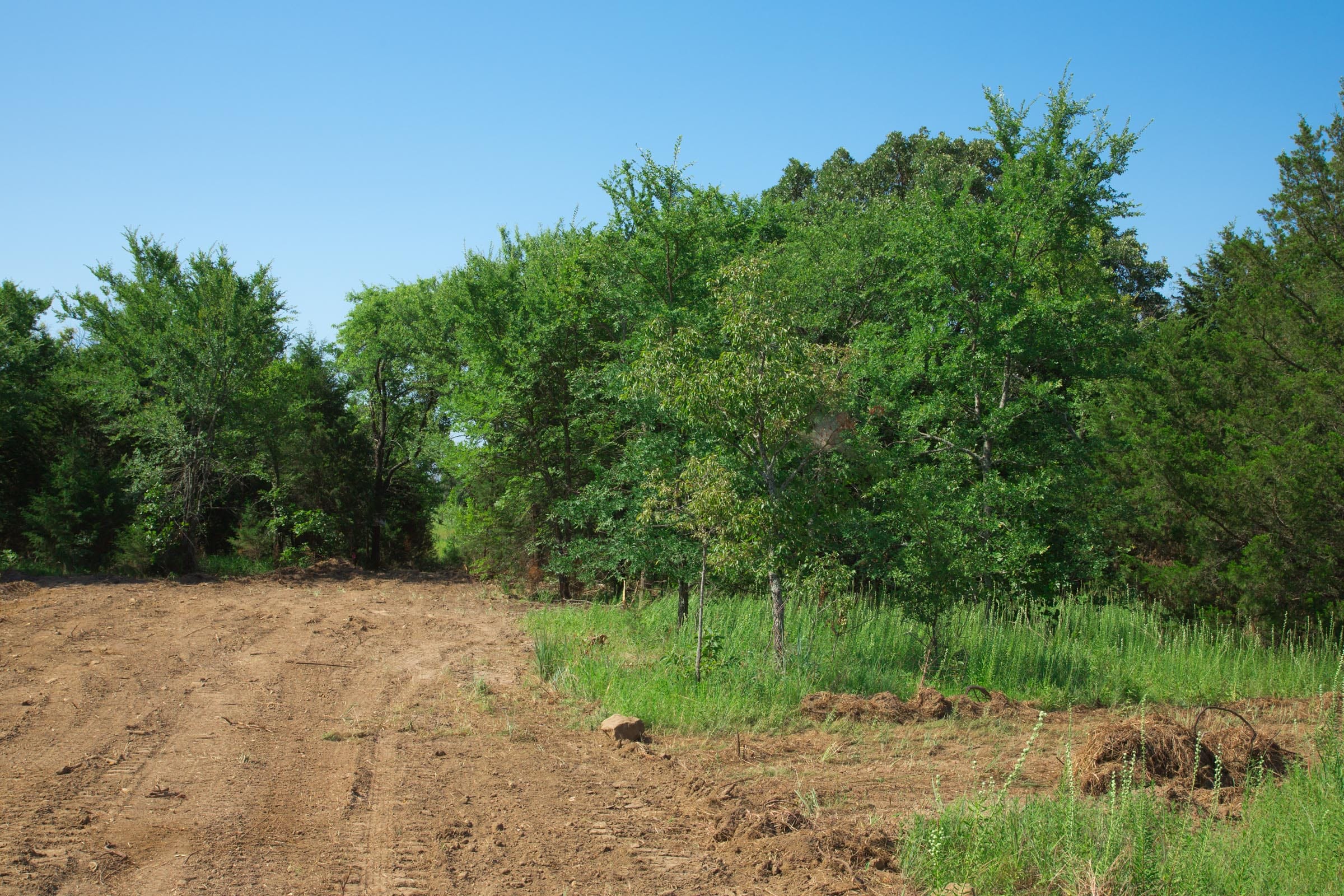 Deep Fork Ranch Tract 16 photo 5