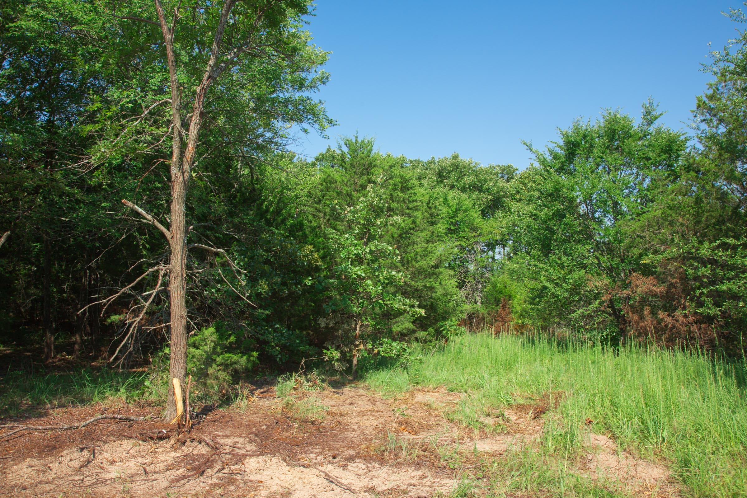 Deep Fork Ranch Tract 16 photo 8