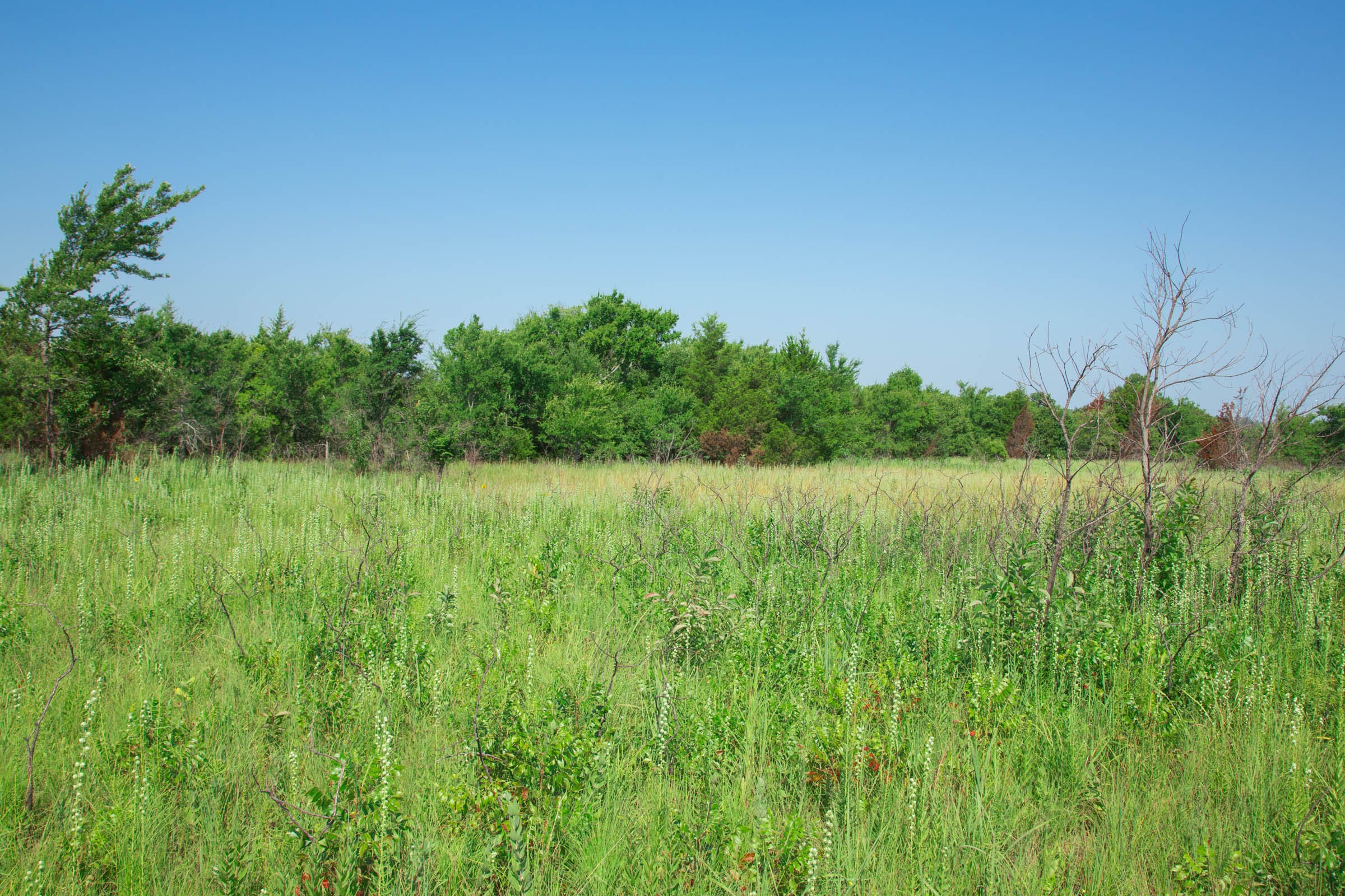 Deep Fork Ranch Tract 16 photo 11