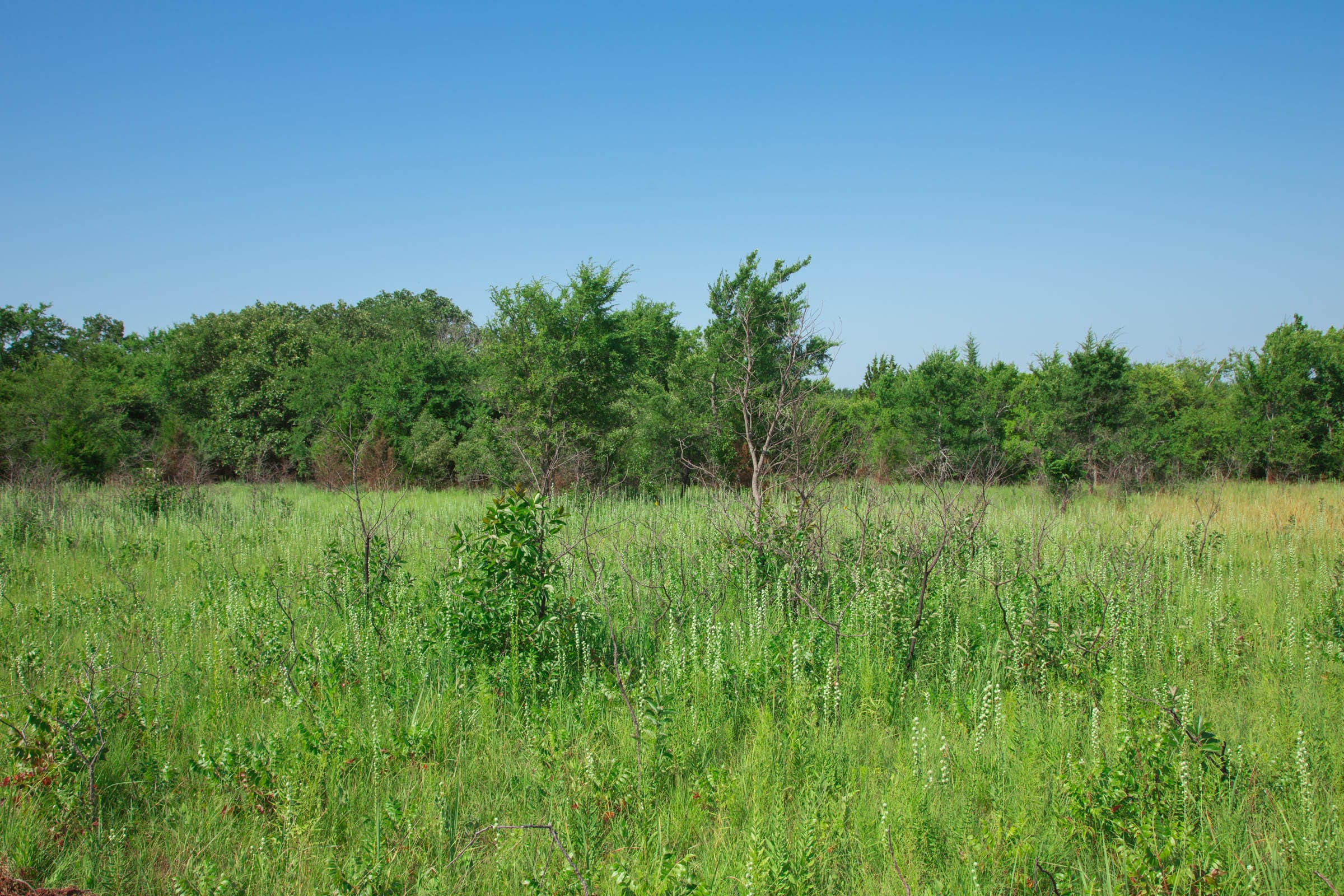 Deep Fork Ranch Tract 16 photo 12