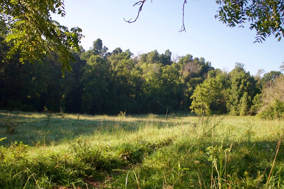 Heritage Hollow Tract 6 photo 2