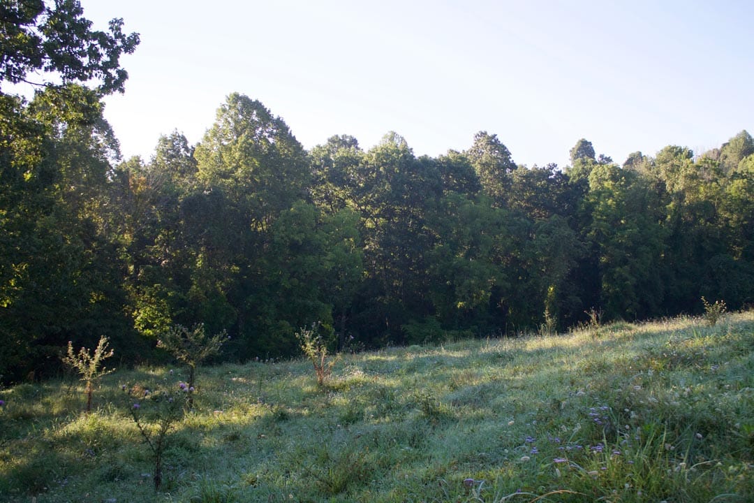 Heritage Hollow Tract 6 photo 4