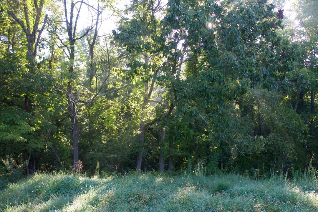Heritage Hollow Tract 6 photo 5