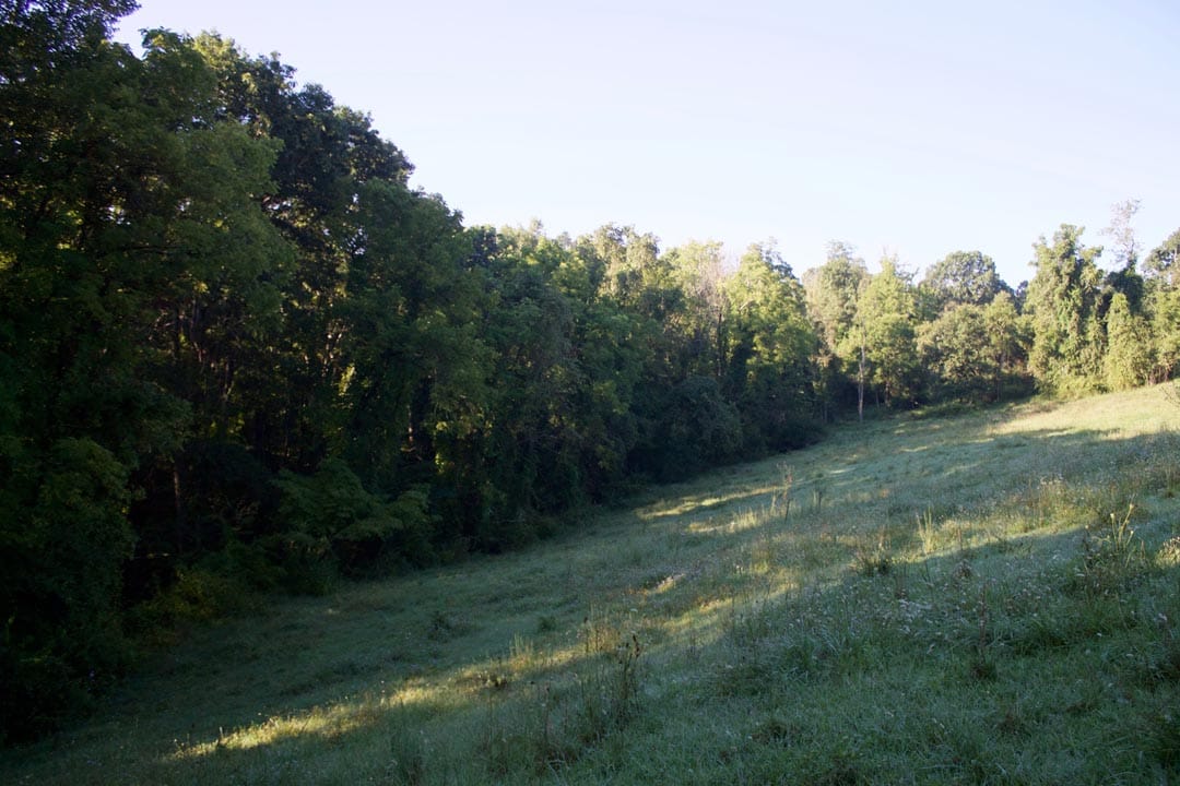 Heritage Hollow Tract 6 photo 7