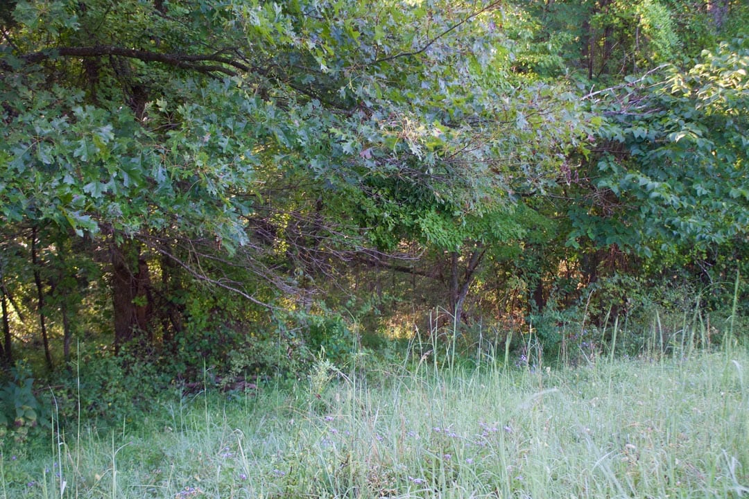 Heritage Hollow Tract 6 photo 9