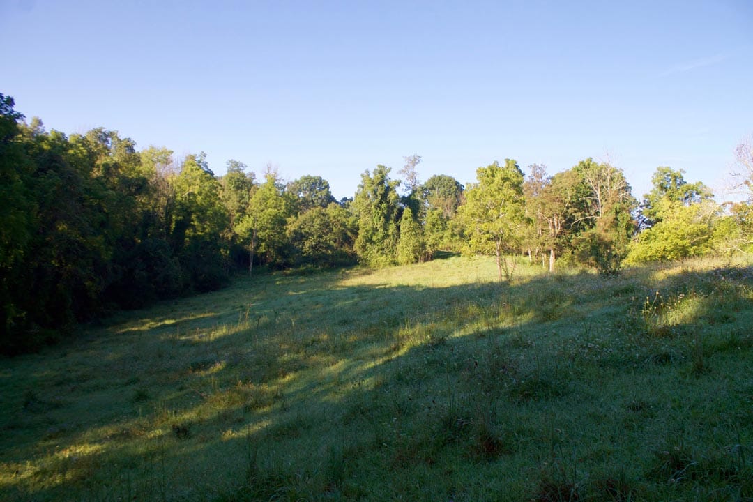 Heritage Hollow Tract 6 photo 10