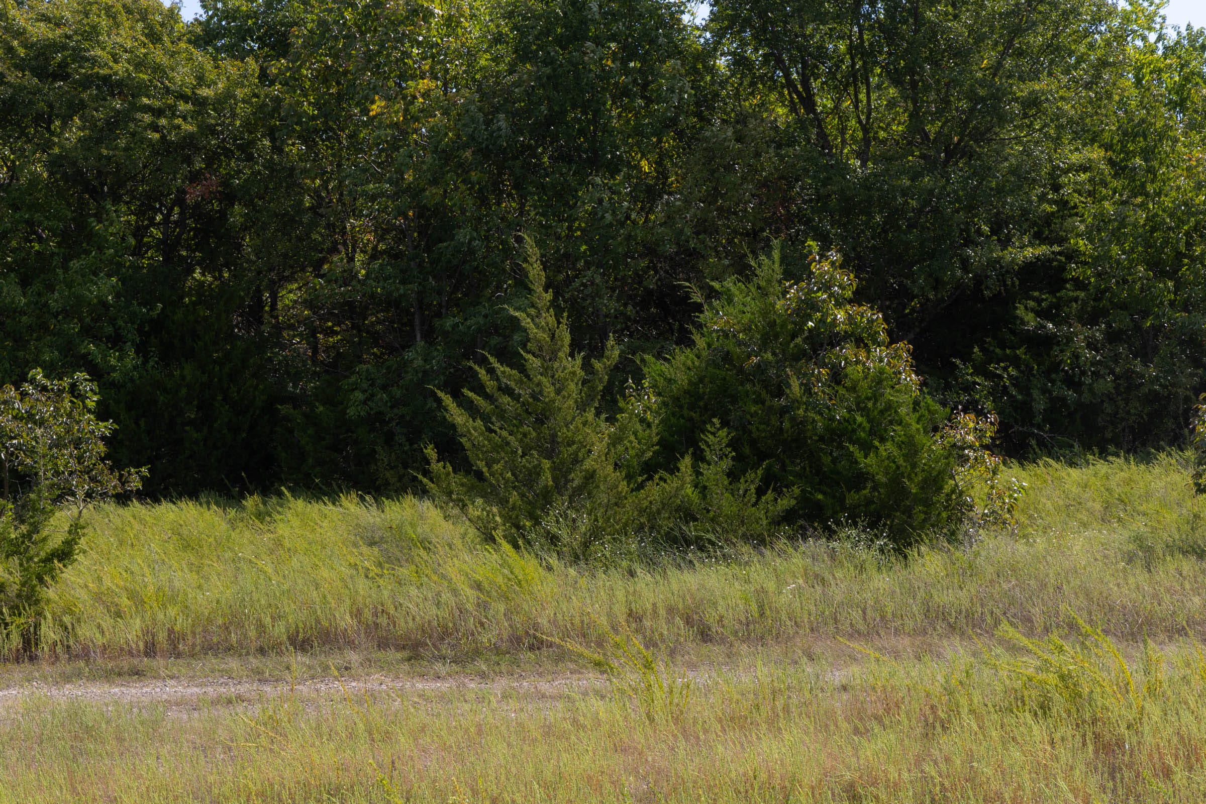Reserves At Cattail Cove Phase II Tract 53 photo 8