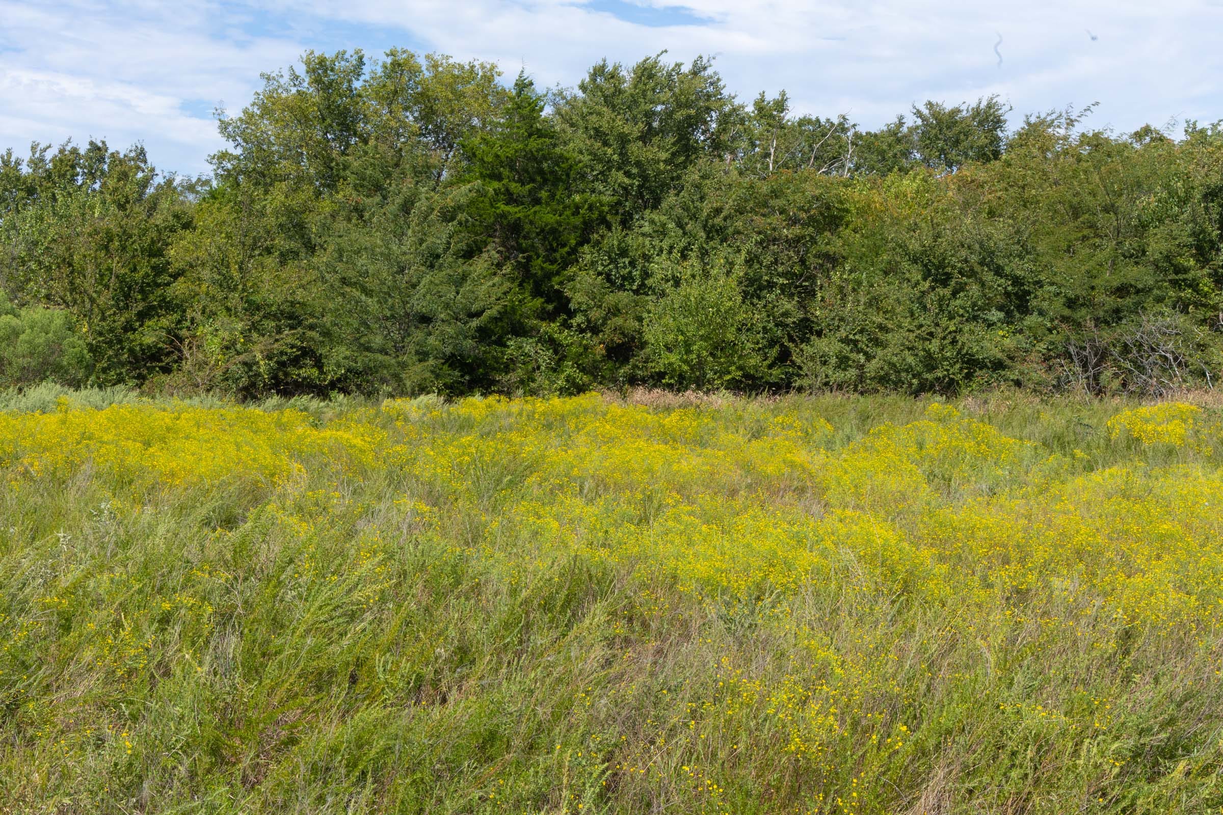 Reserves At Cattail Cove Phase II Tract 53 photo 6