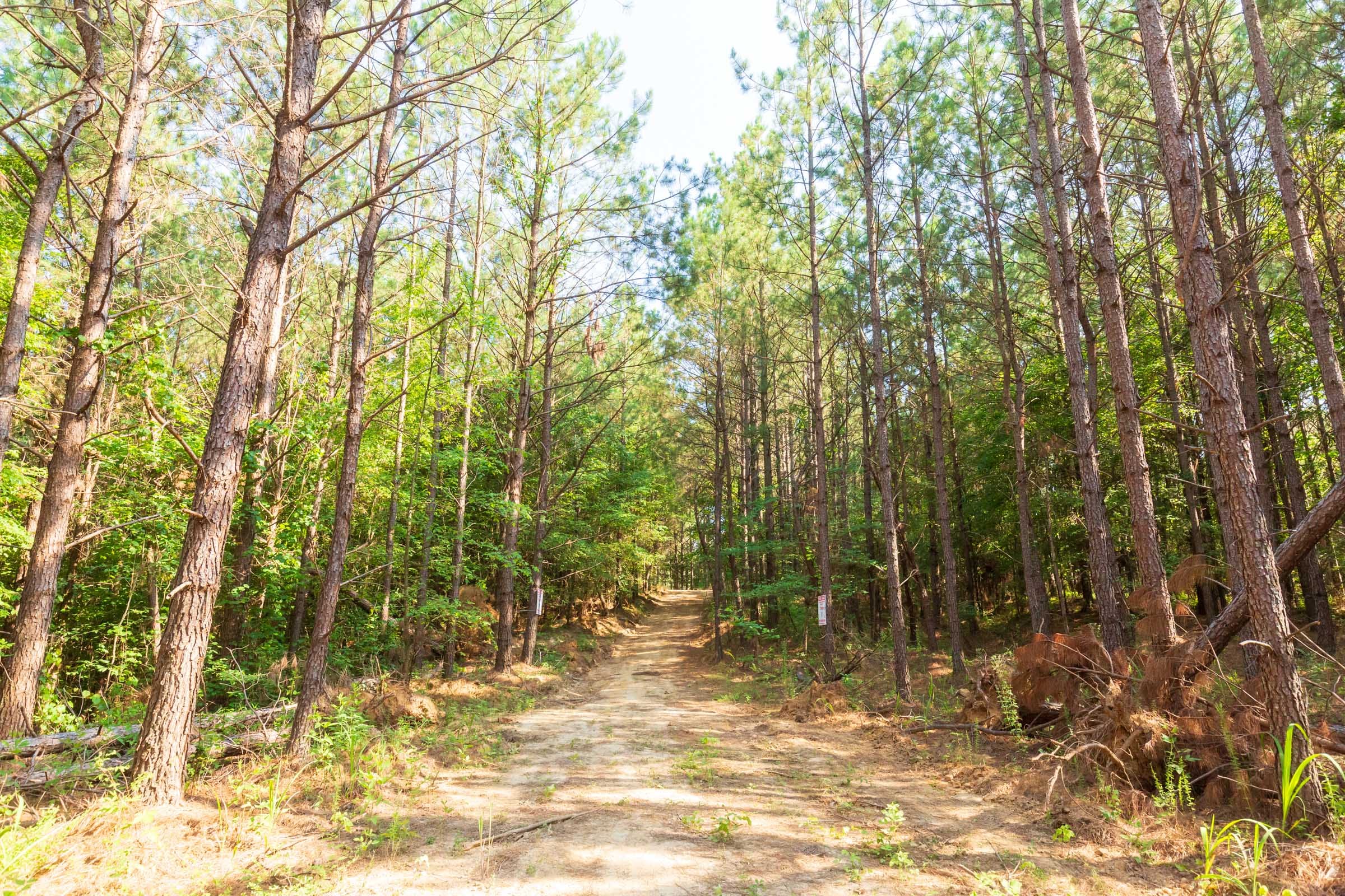 Whiskey Ridge Tract 82 photo 2