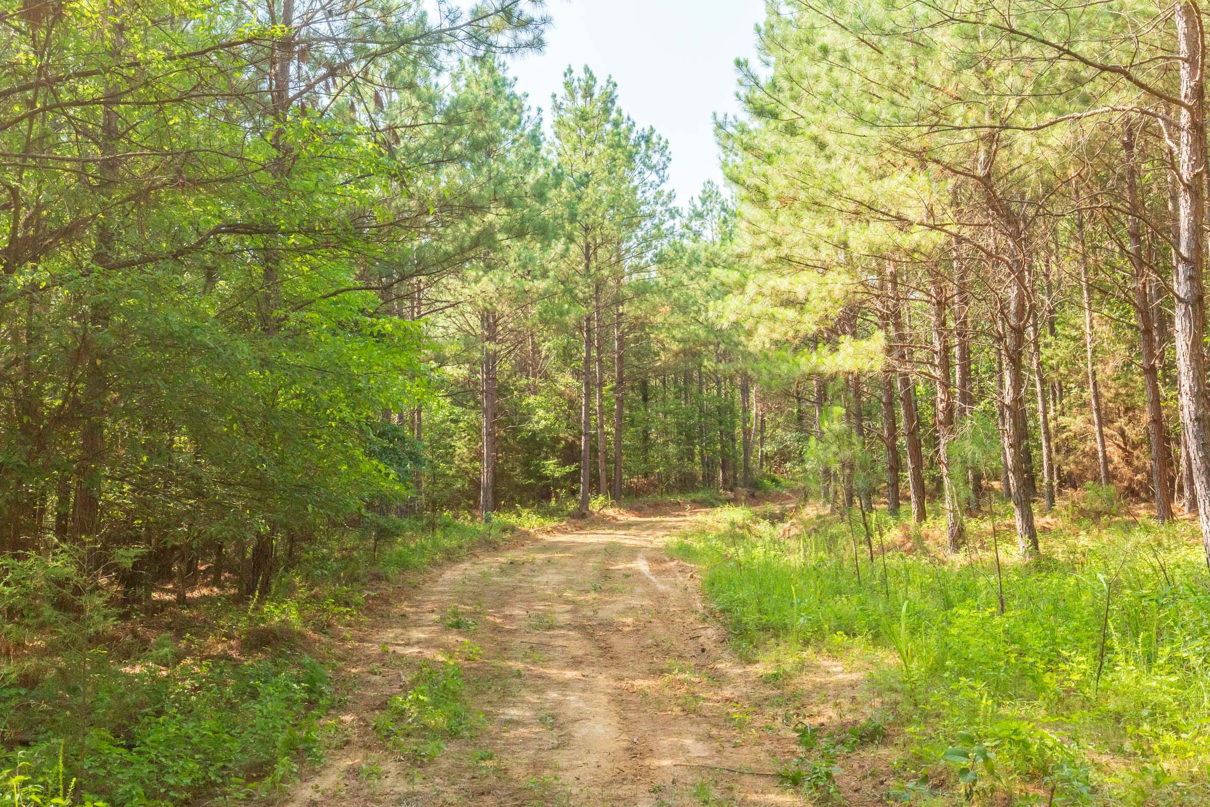 Whiskey Ridge Tract 82 photo 14