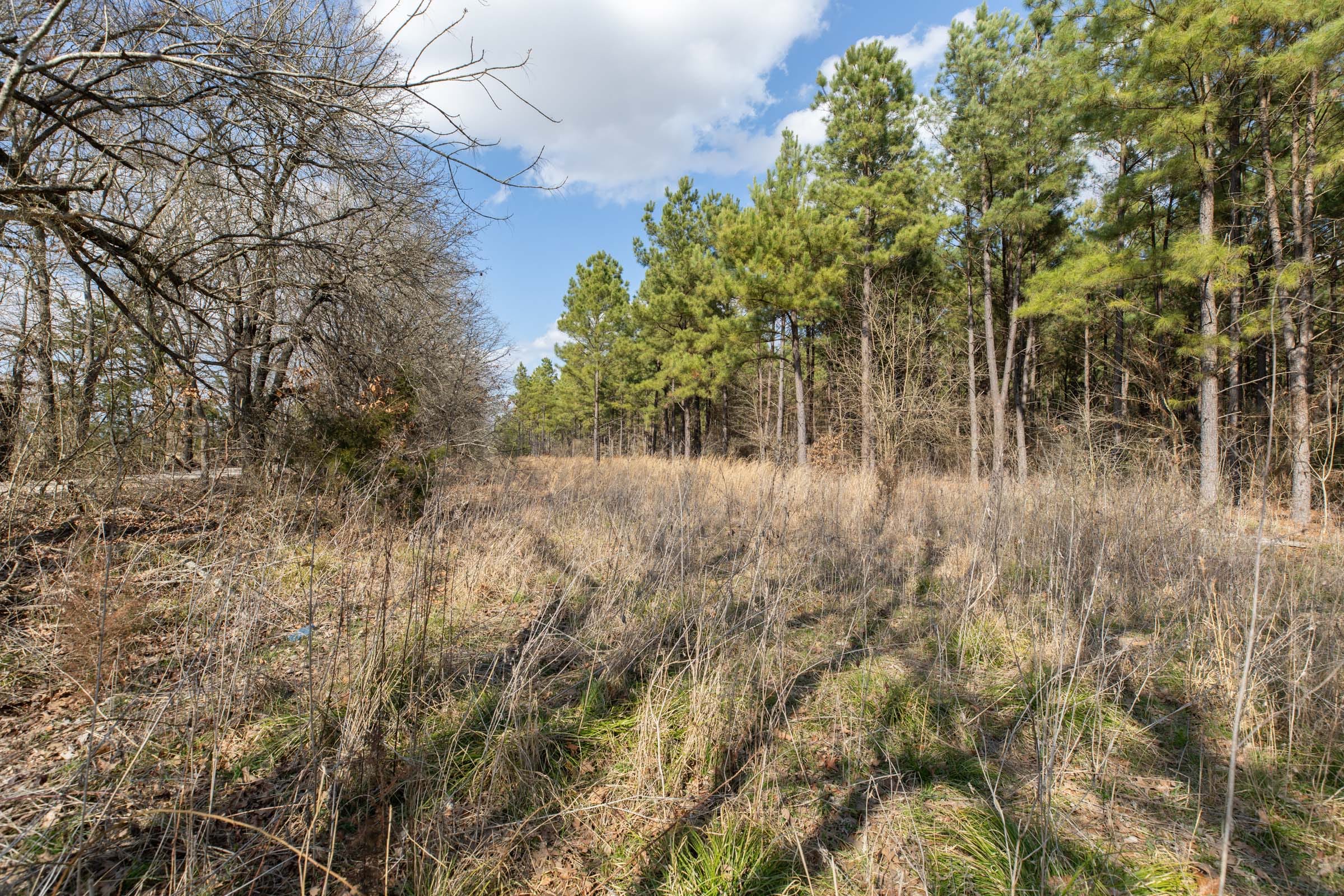Wishing Star Ranch Tract 46 photo 2