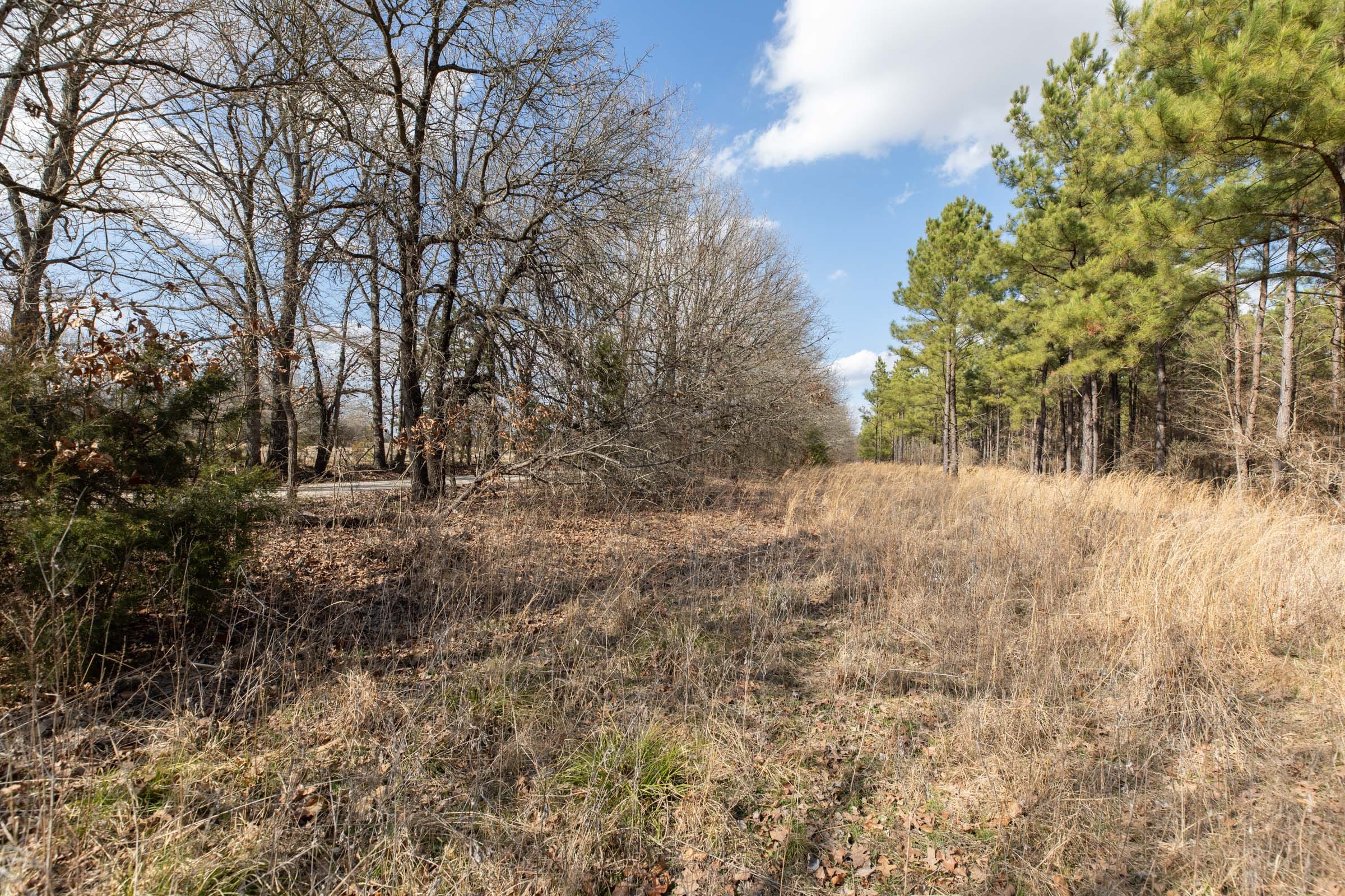 Wishing Star Ranch Tract 46 photo 3