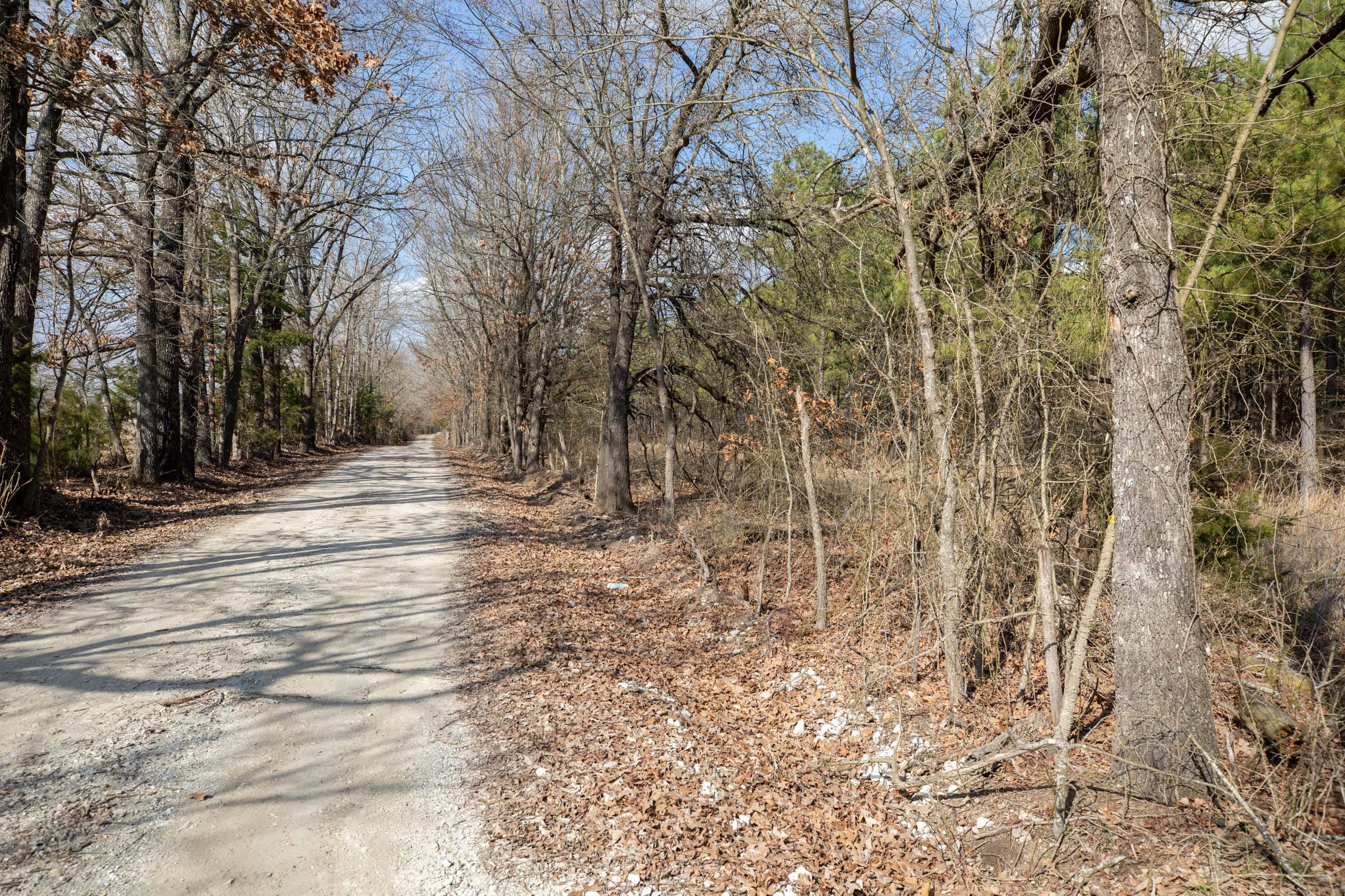 Wishing Star Ranch Tract 46 photo 4