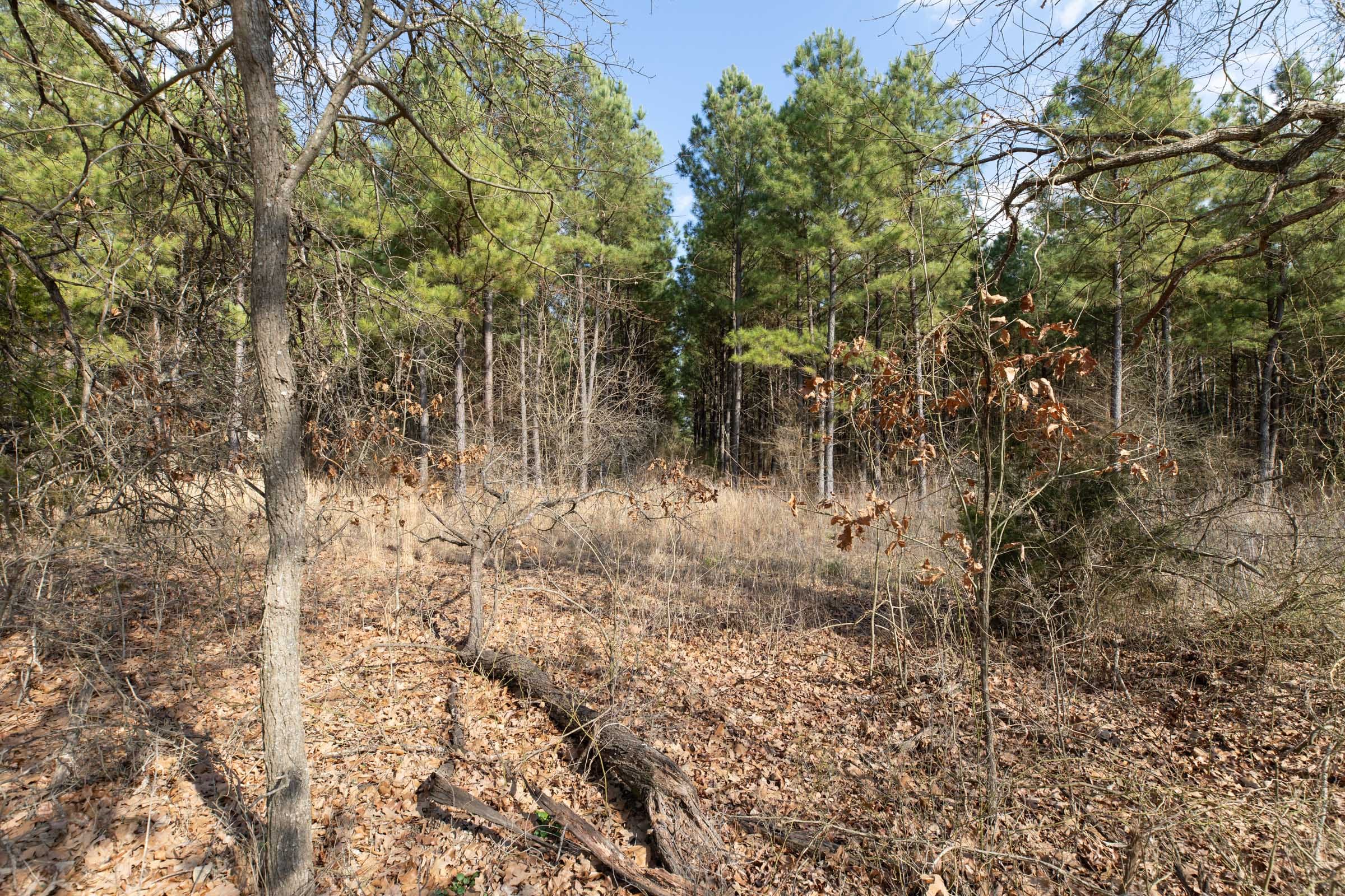 Wishing Star Ranch Tract 46 photo 5