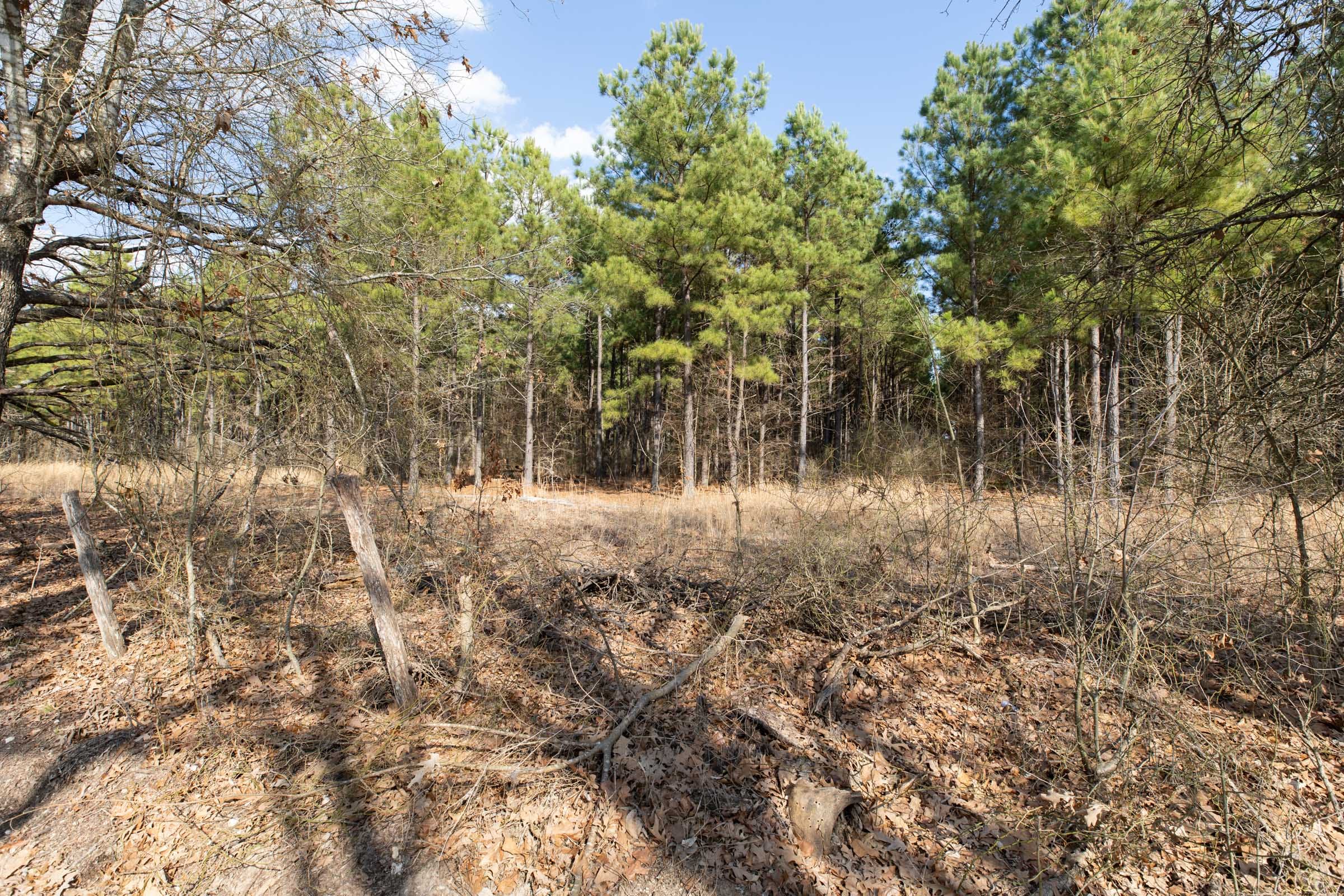Wishing Star Ranch Tract 46 photo 6