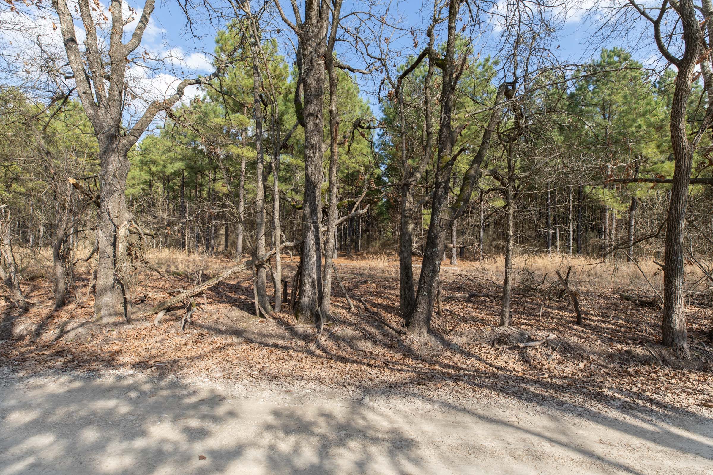 Wishing Star Ranch Tract 46 photo 8