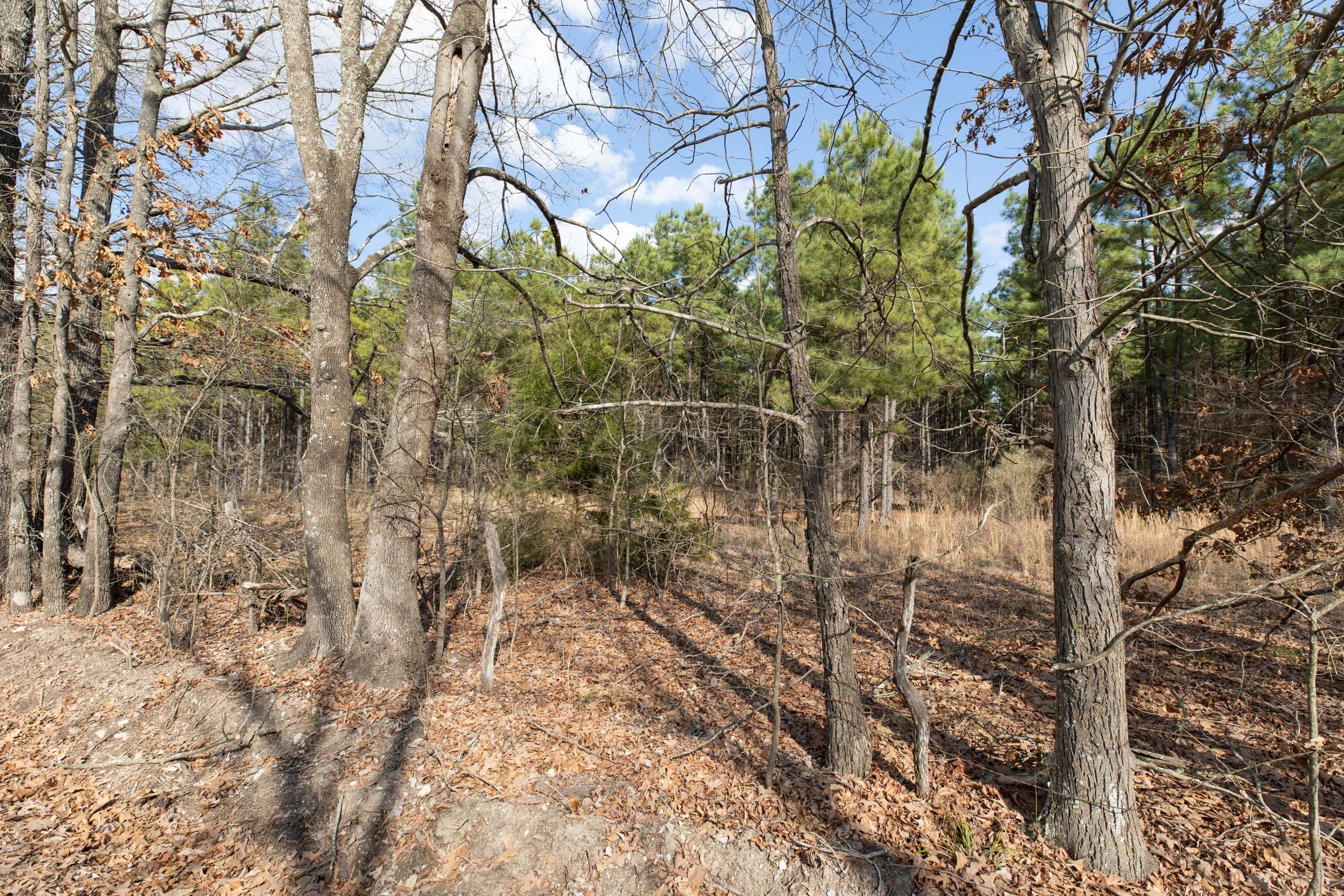 Wishing Star Ranch Tract 46 photo 9