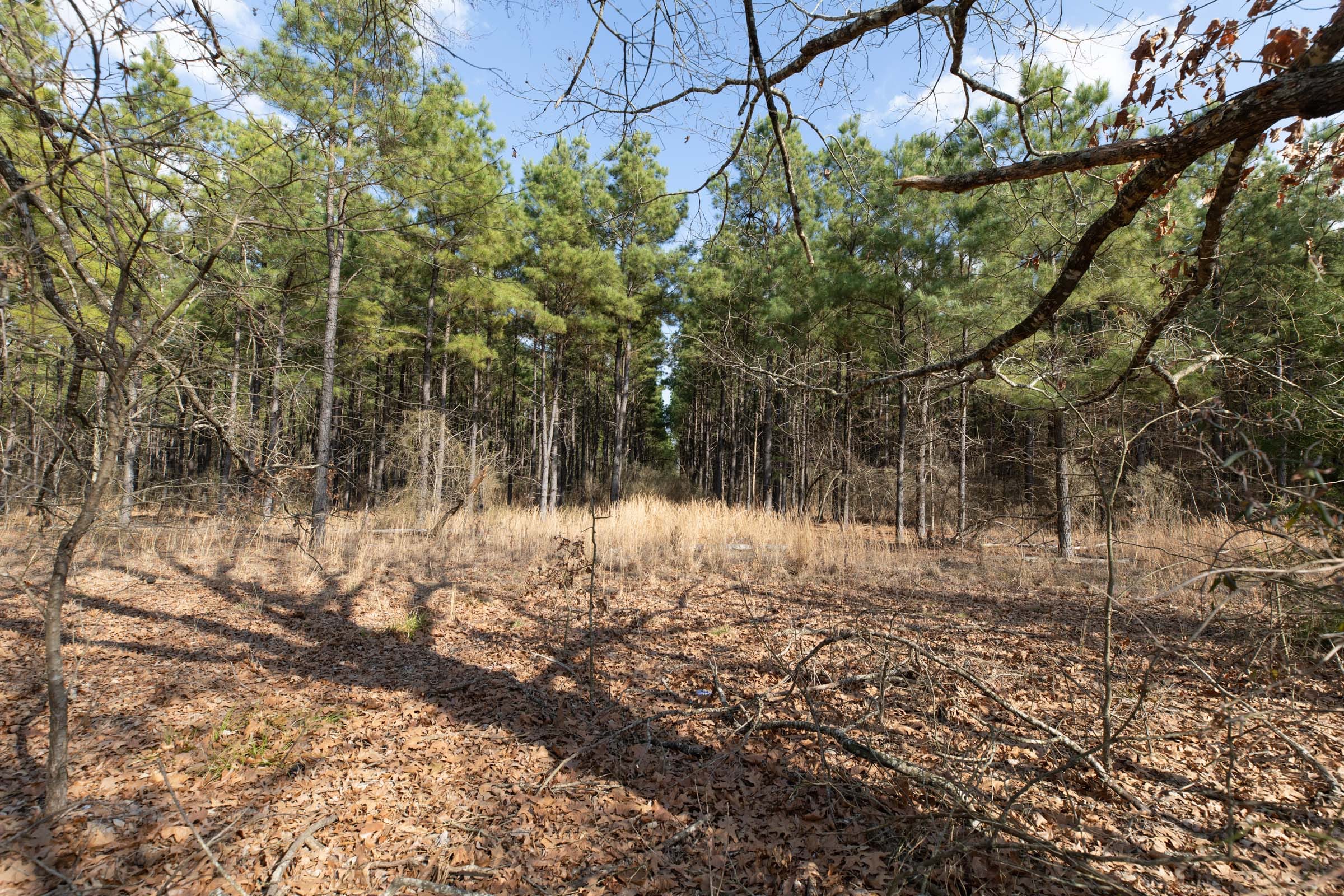 Wishing Star Ranch Tract 46 photo 11