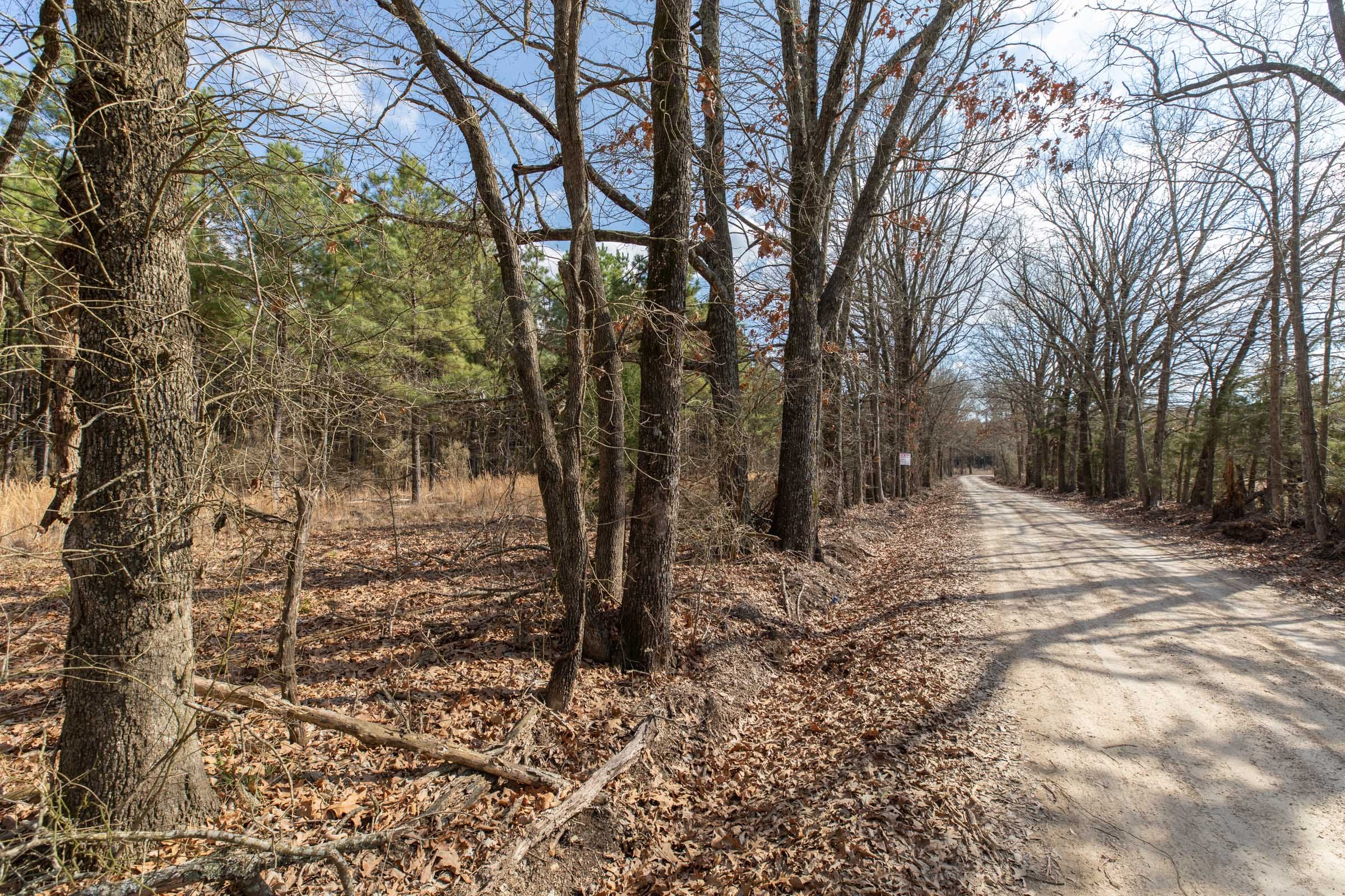 Wishing Star Ranch Tract 46 photo 12