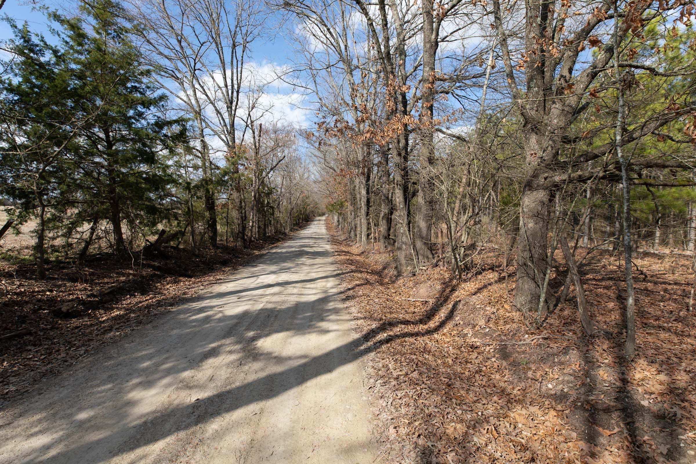 Wishing Star Ranch Tract 46 photo 7