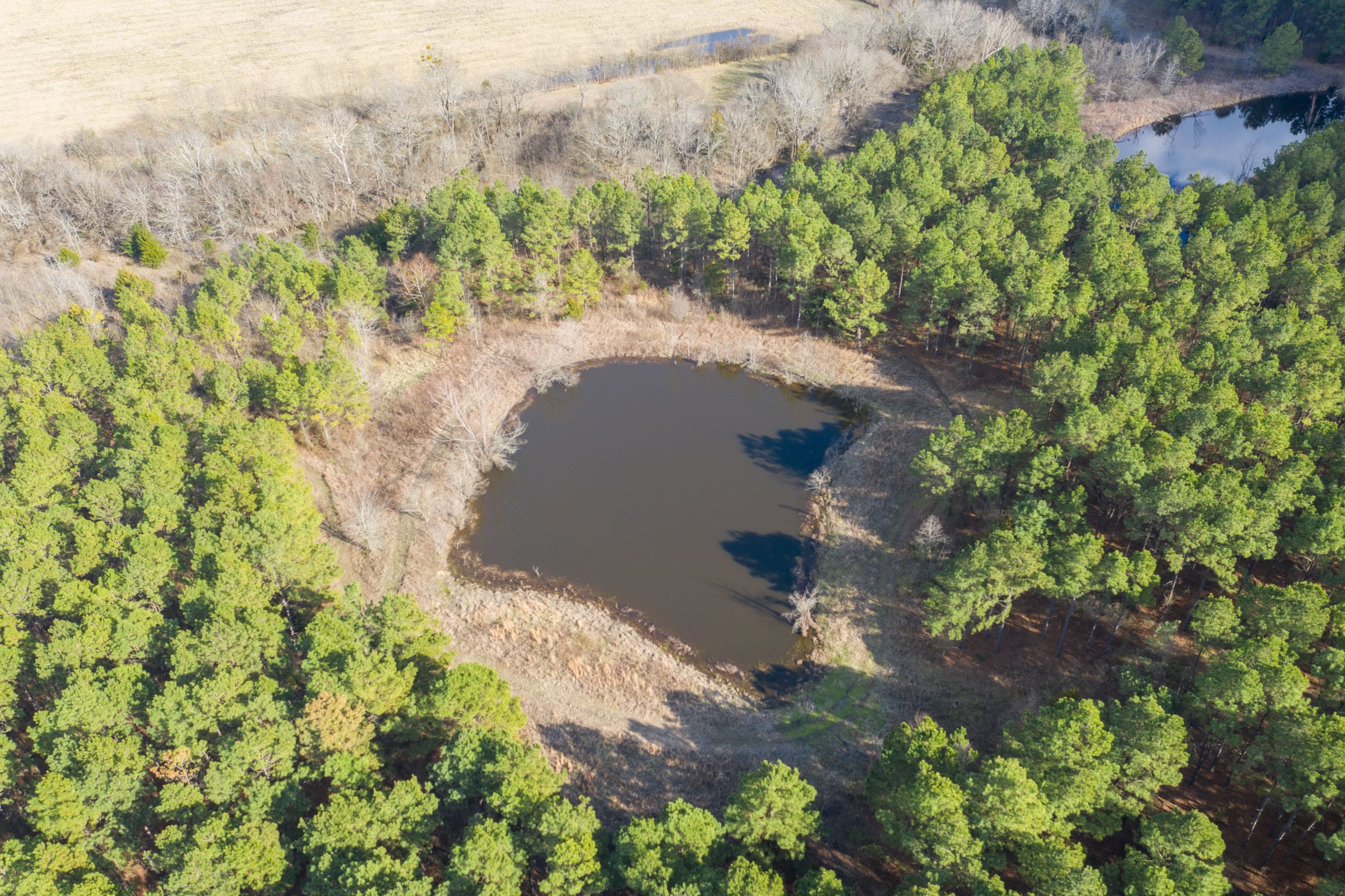 Wishing Star Ranch Tract 46 photo 14