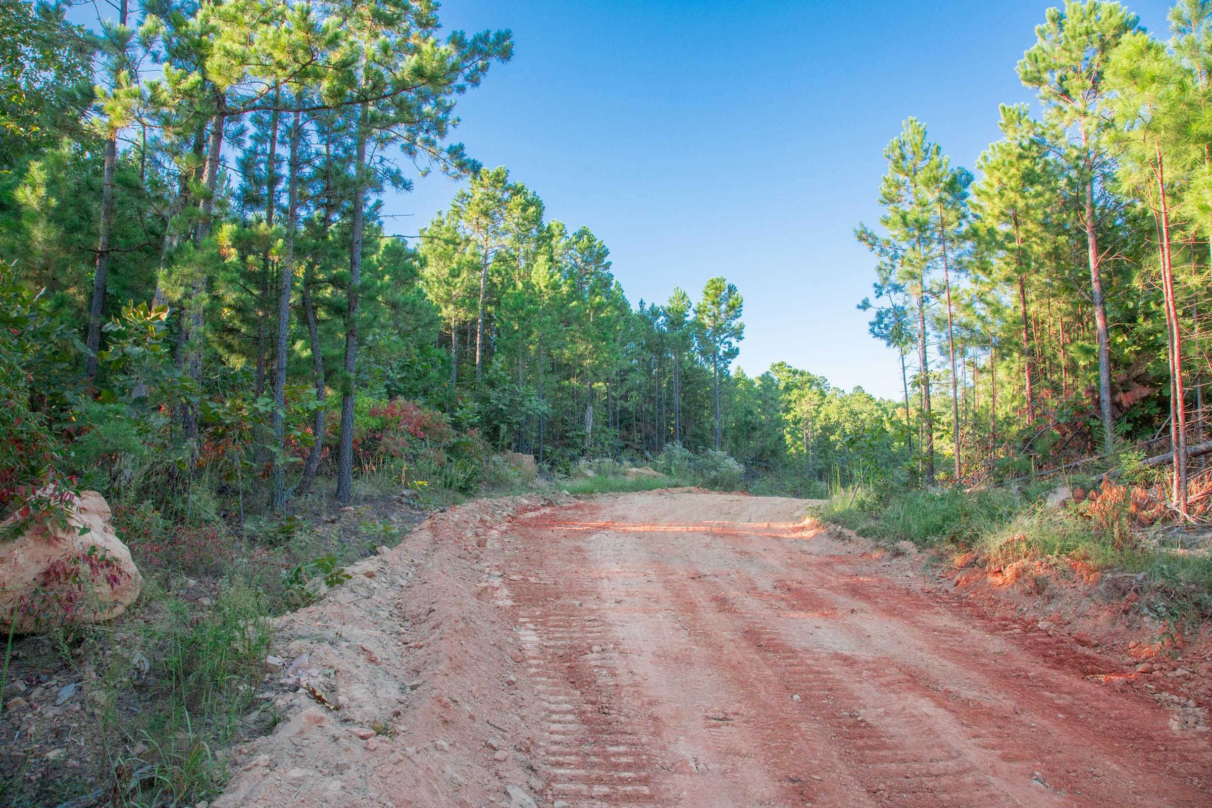 Stone Creek Phase II Tract 280 photo 4