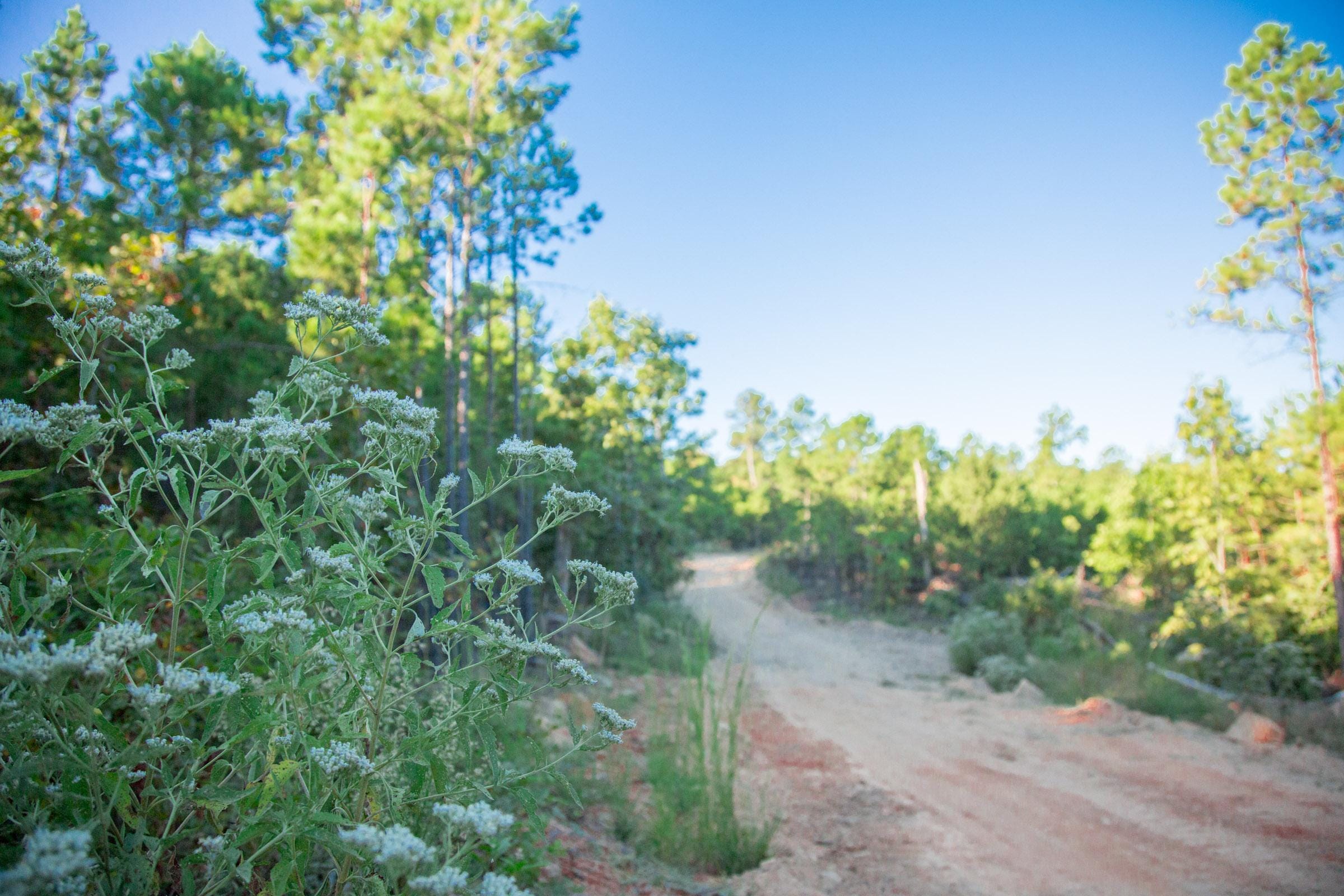 Stone Creek Phase II Tract 280 photo 7