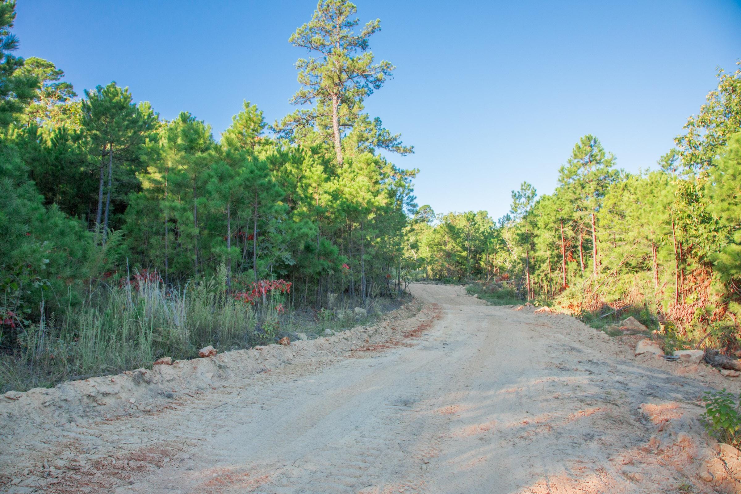 Stone Creek Phase II Tract 280 photo 8