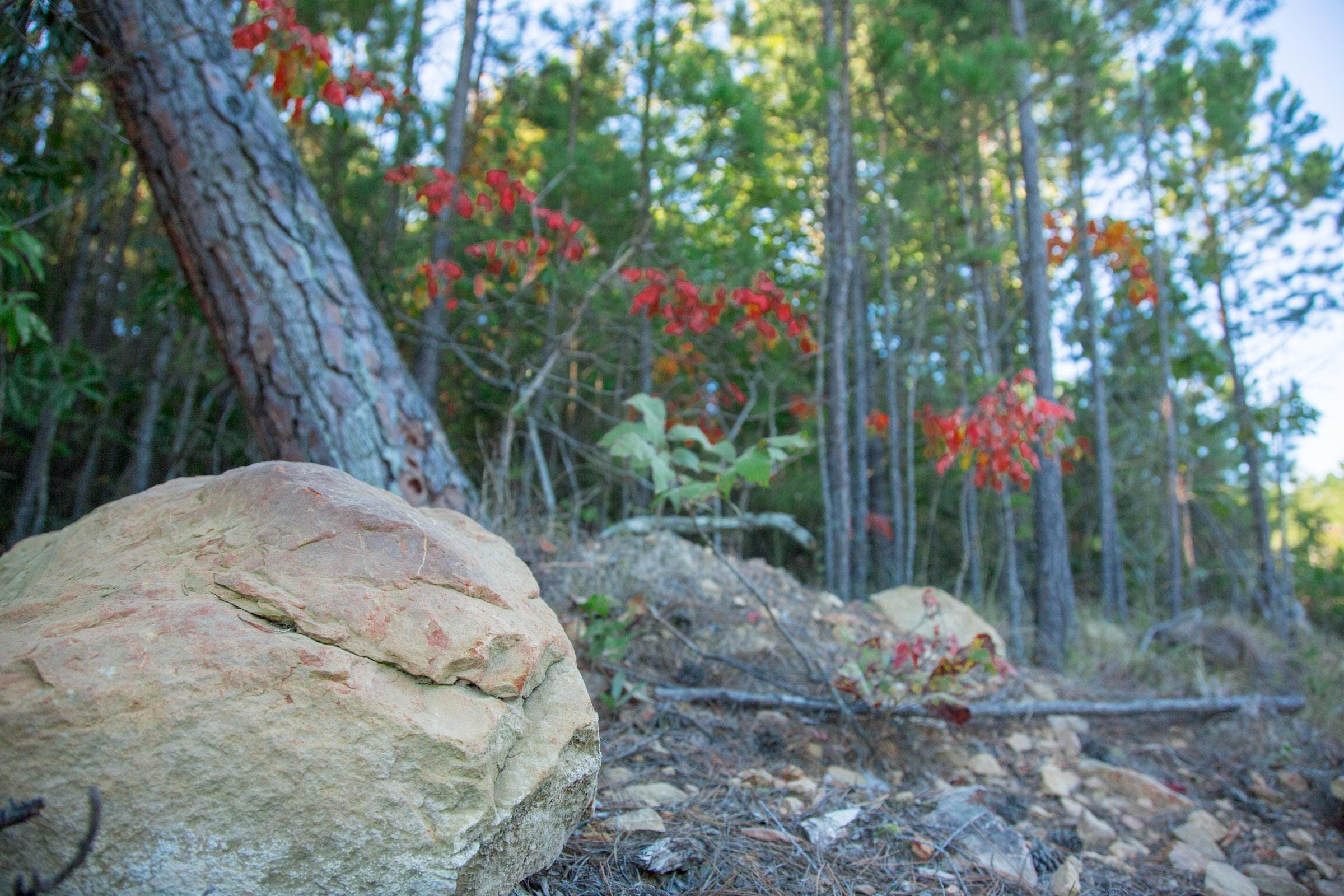 Stone Creek Phase II Tract 280 photo 5