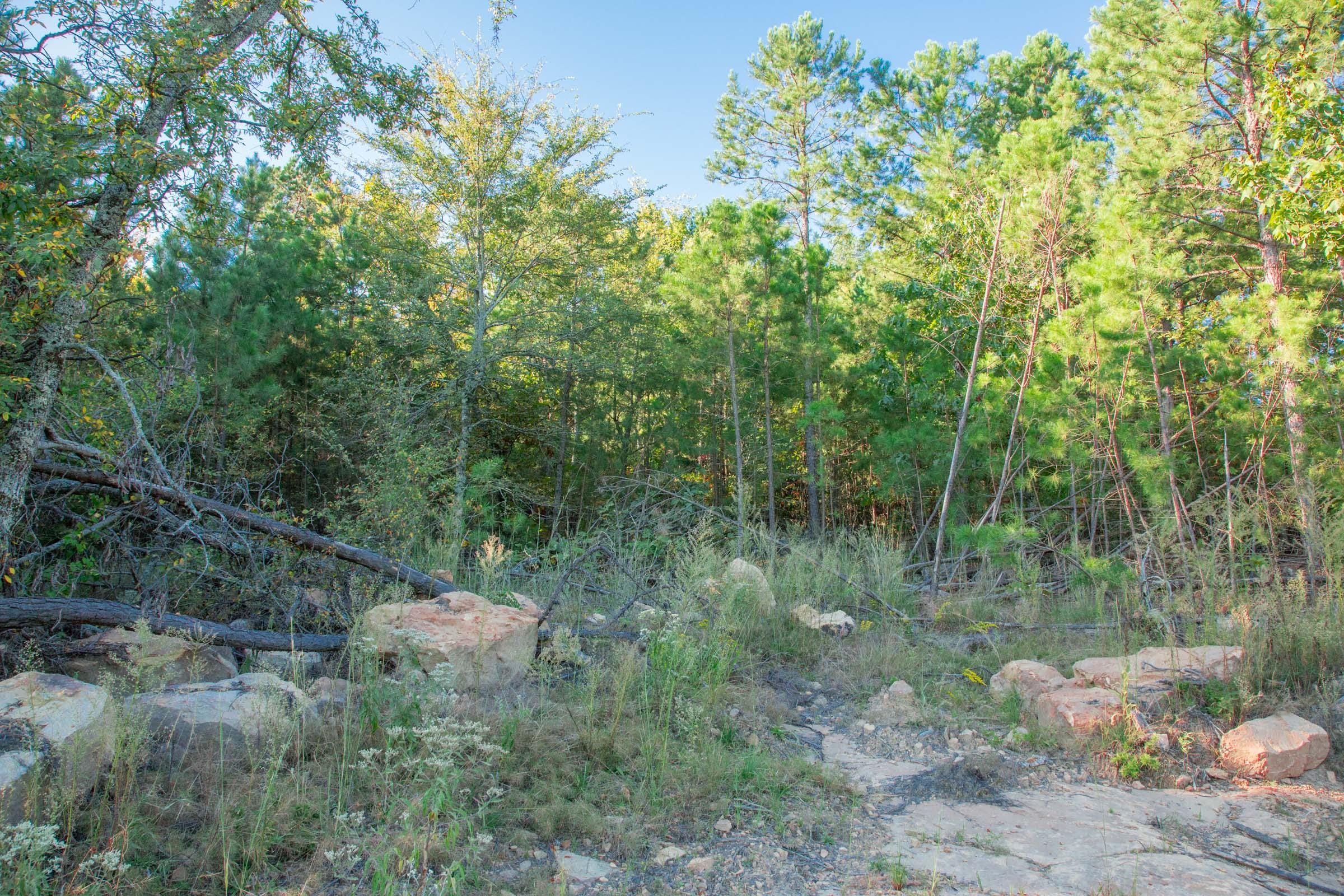 Stone Creek Phase II Tract 280 photo 11