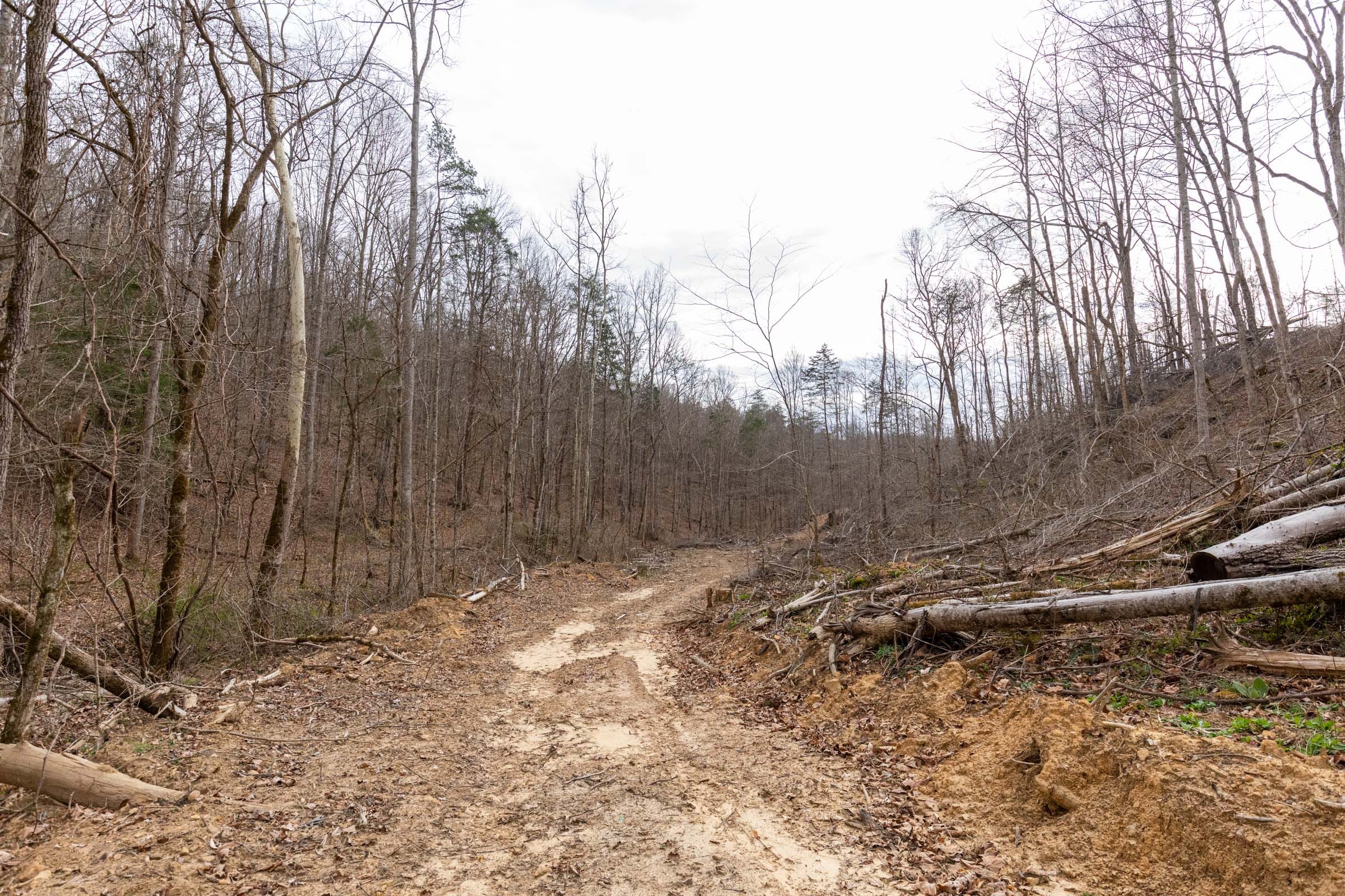 Creek Hollow Phase I Tract 15 photo 1