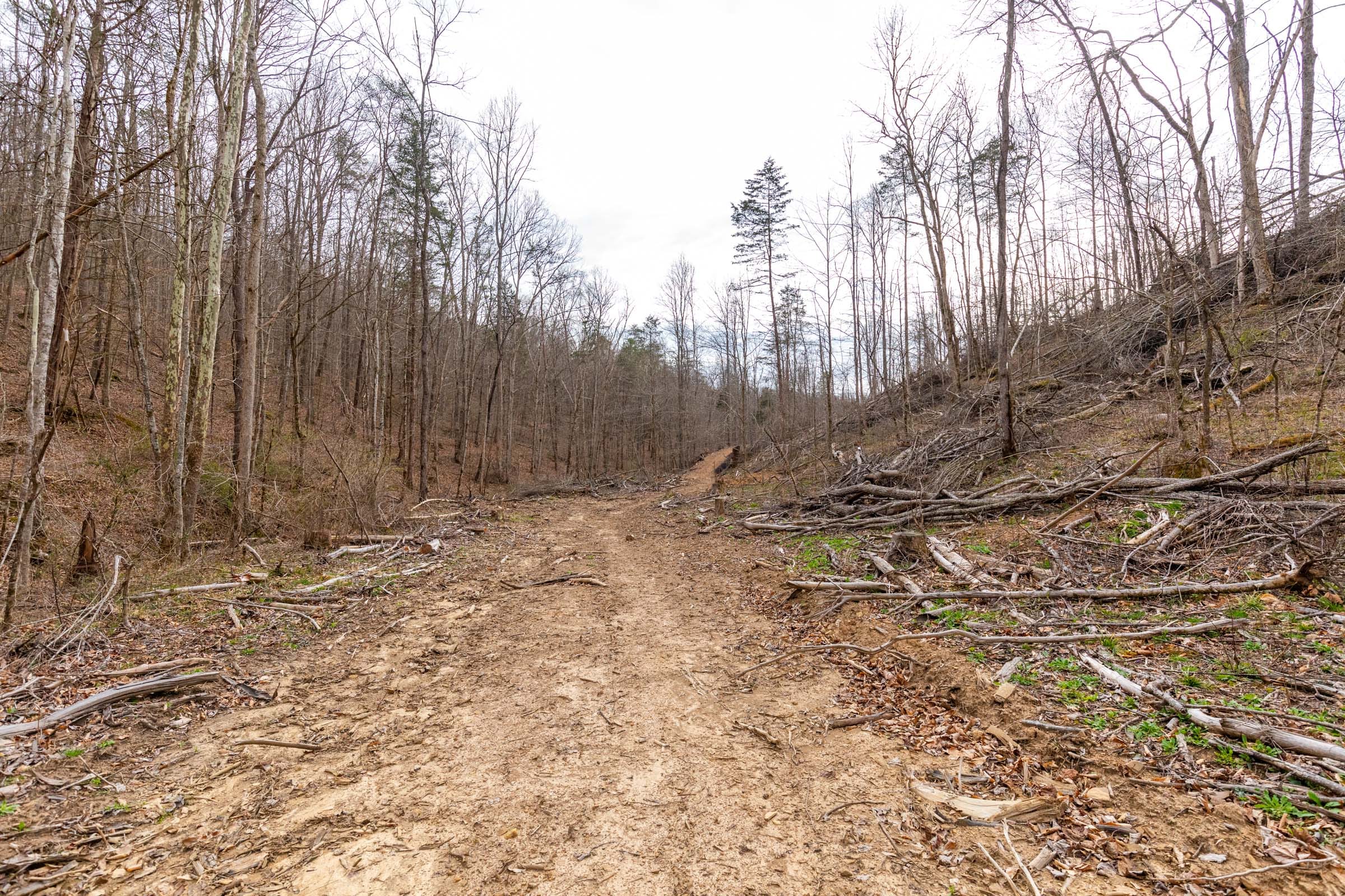 Creek Hollow Phase I Tract 15 photo 4