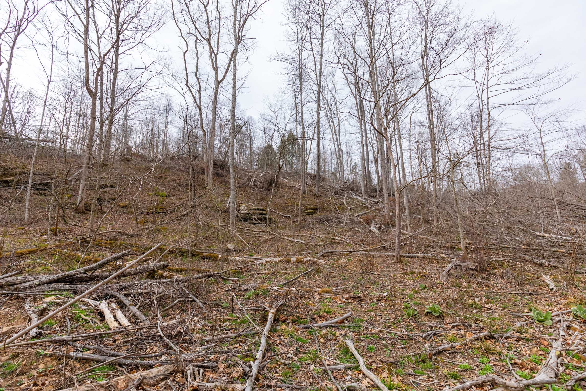 Creek Hollow Phase I Tract 15 photo 6