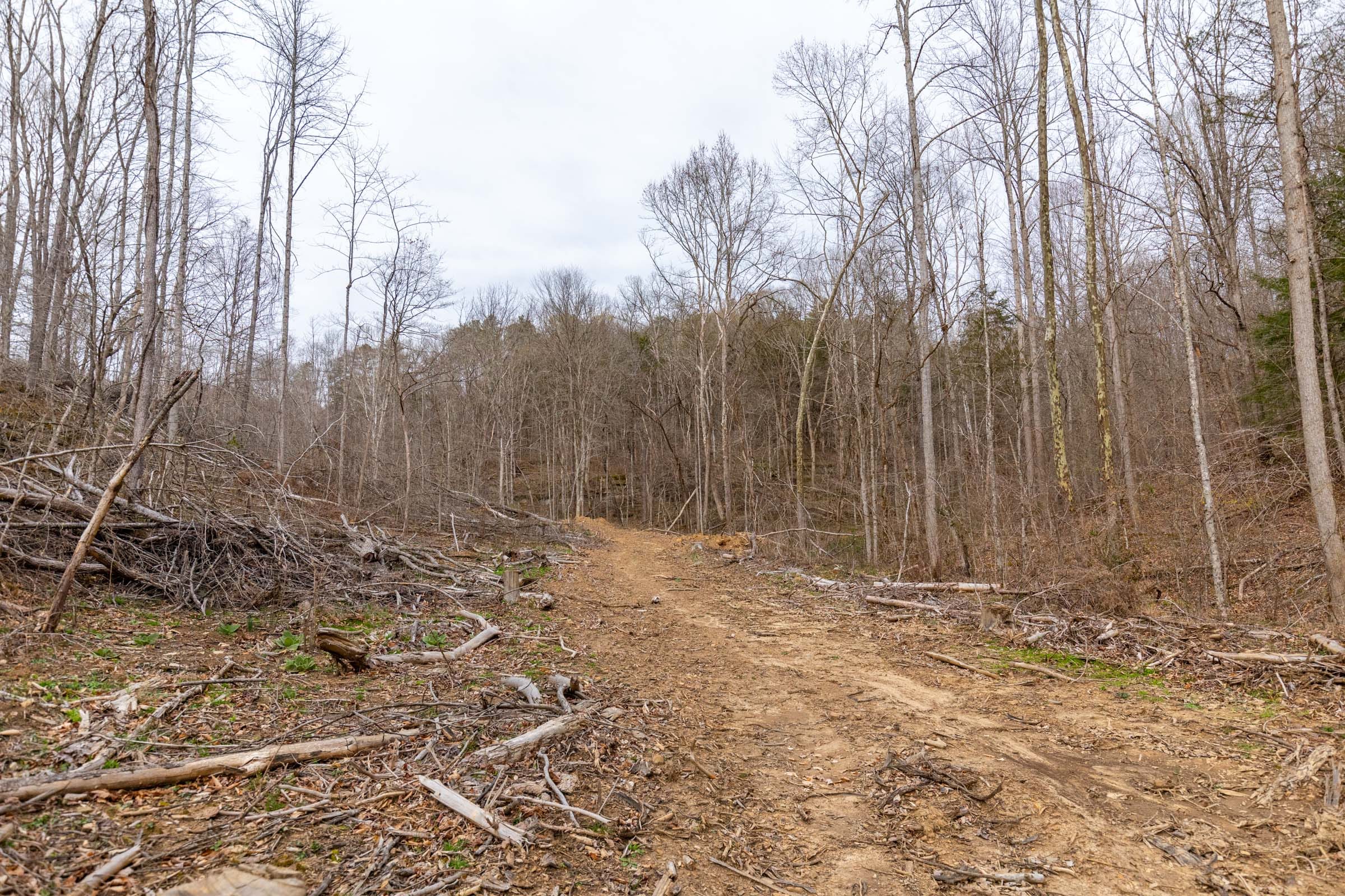 Creek Hollow Phase I Tract 15 photo 7
