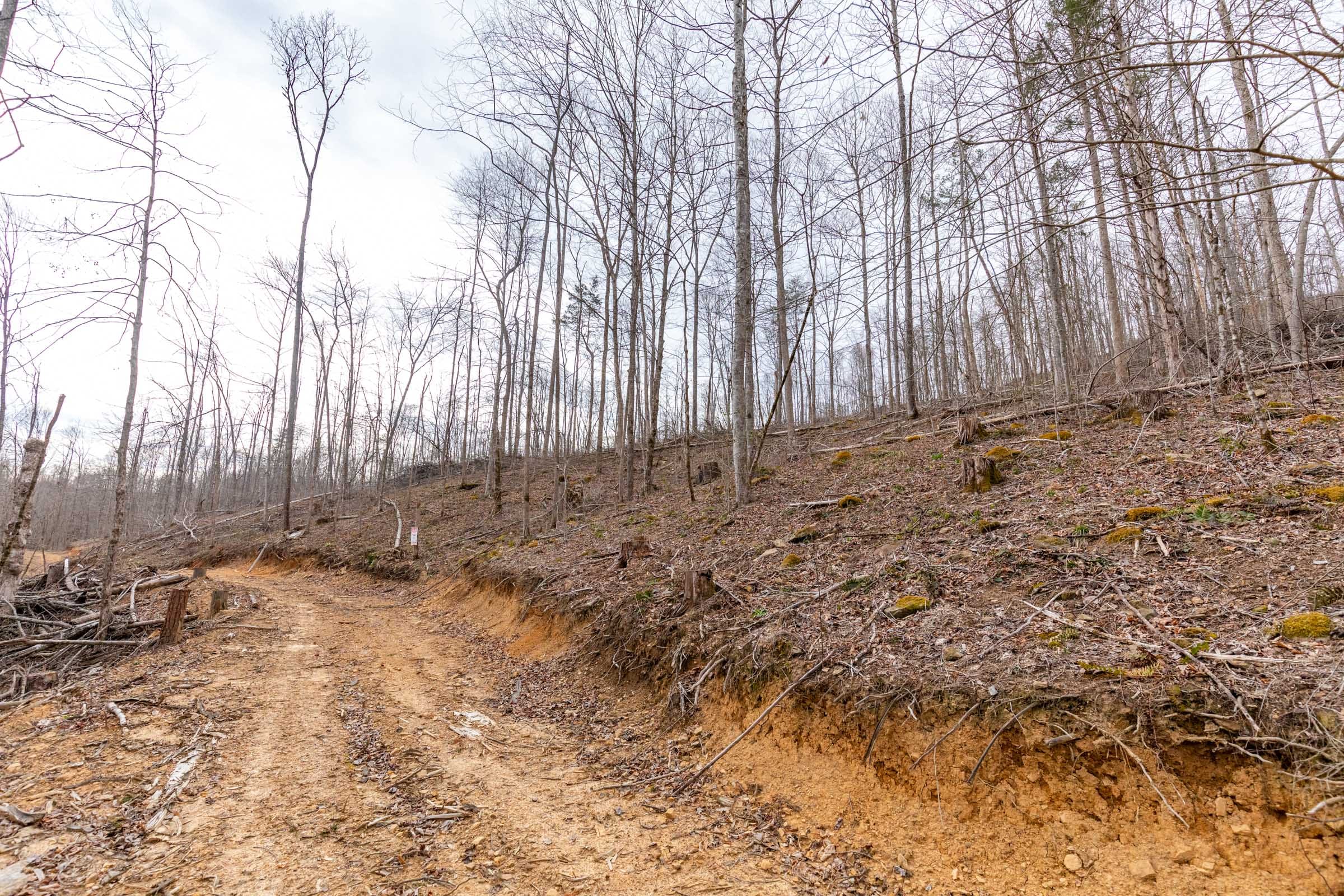 Creek Hollow Phase I Tract 15 photo 10